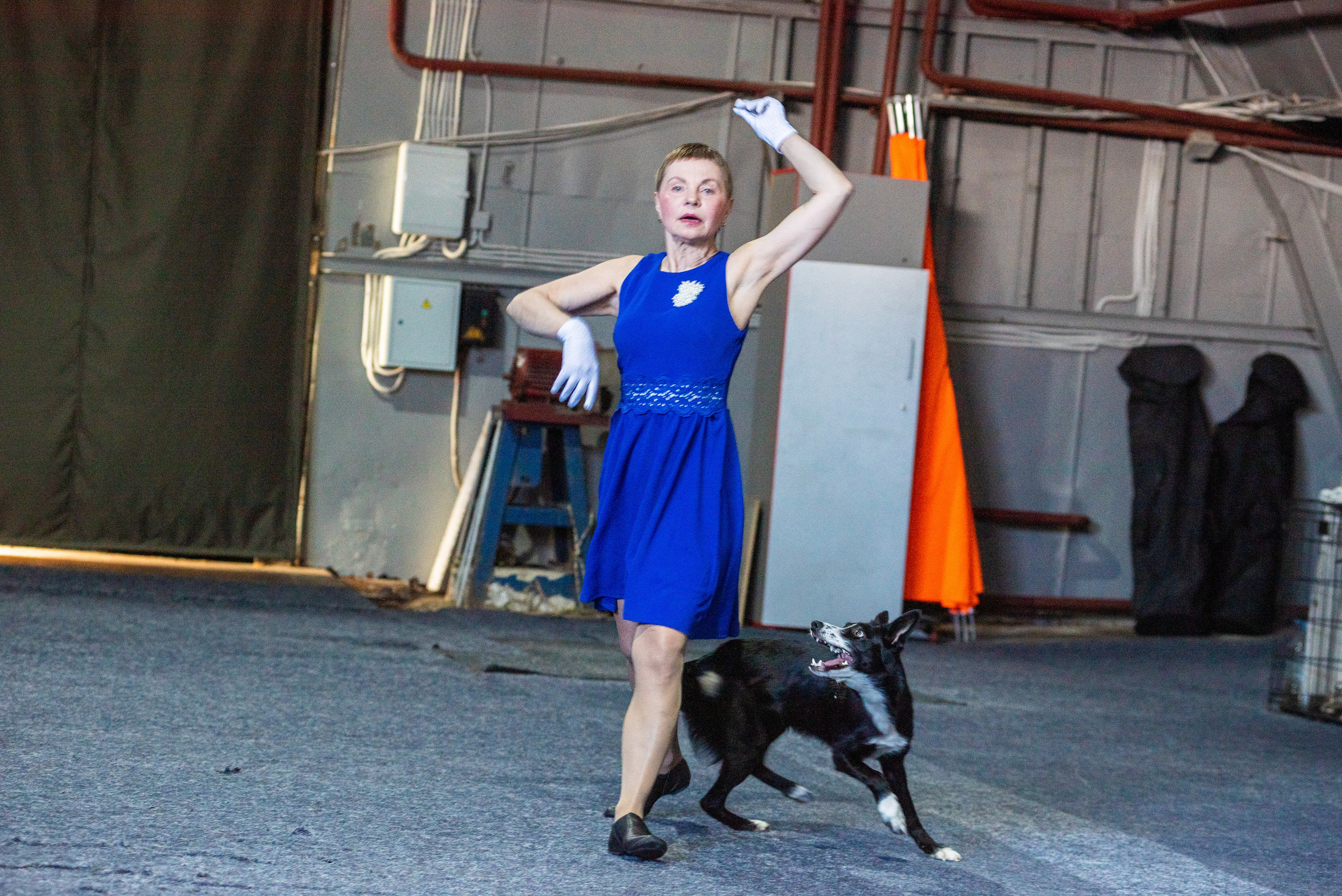 Танцы с собаками!. Дог-фотограф в Тюмени Александра Королева