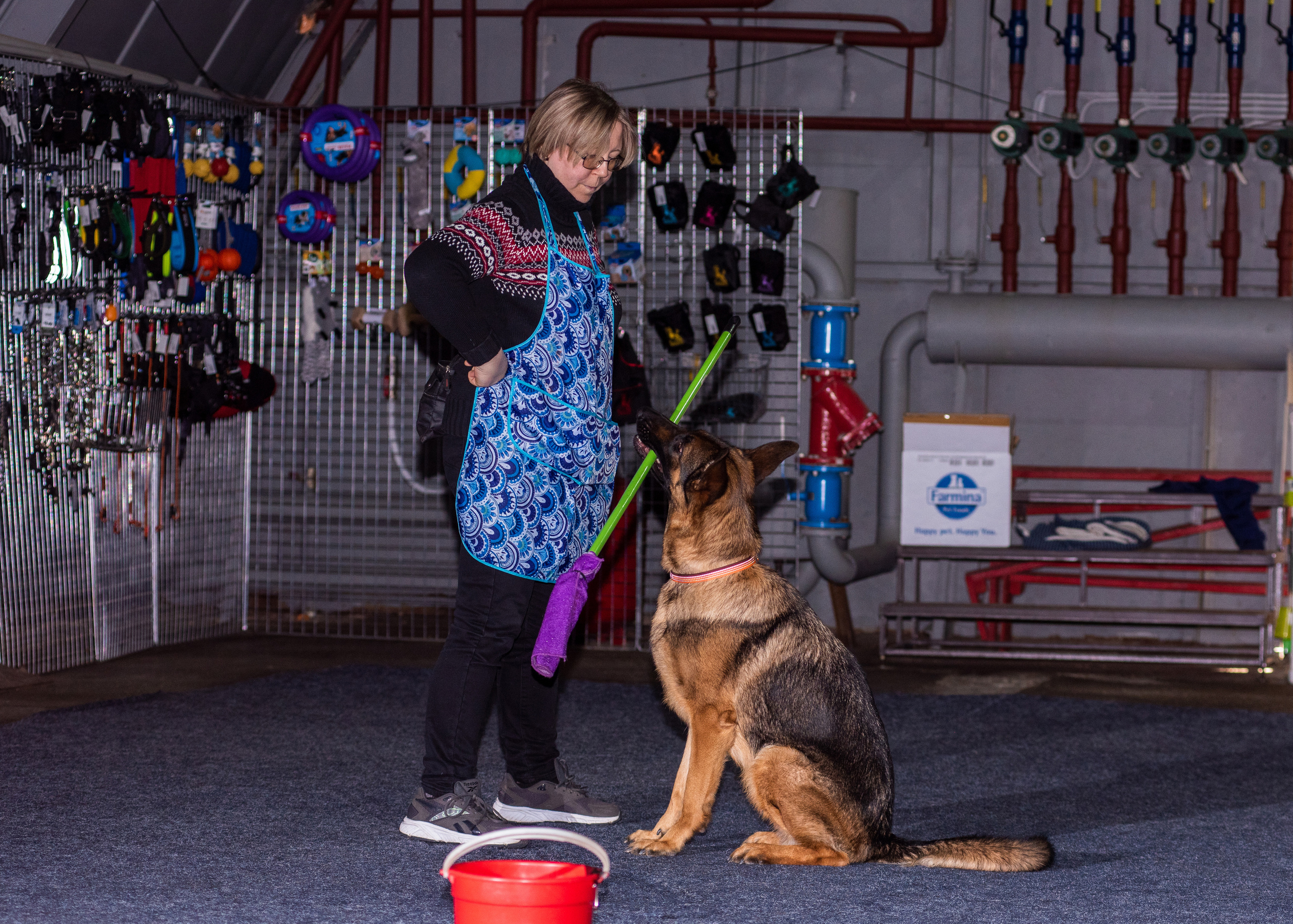 Танцы с собаками!. Дог-фотограф в Тюмени Александра Королева