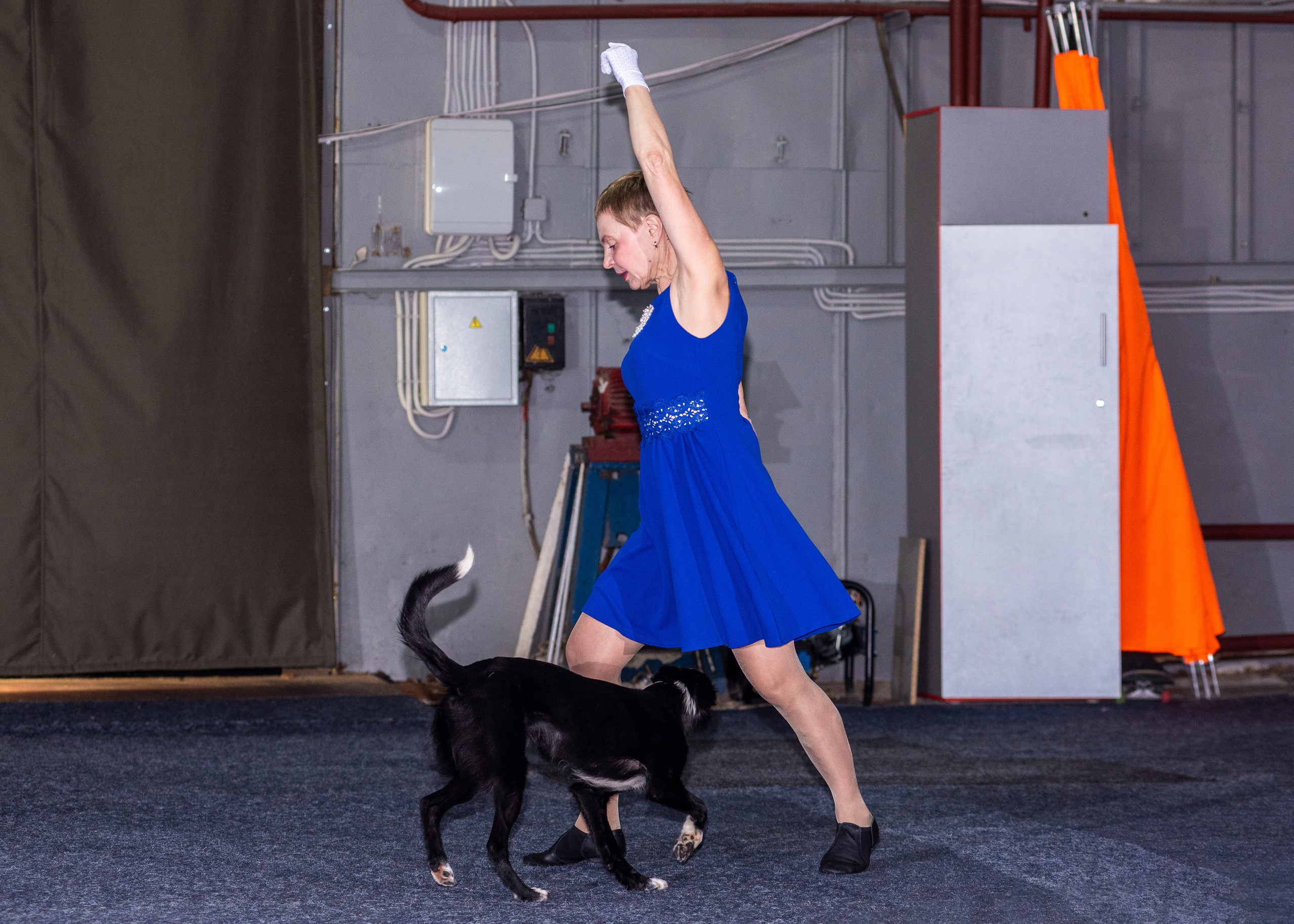 Танцы с собаками!. Дог-фотограф в Тюмени Александра Королева