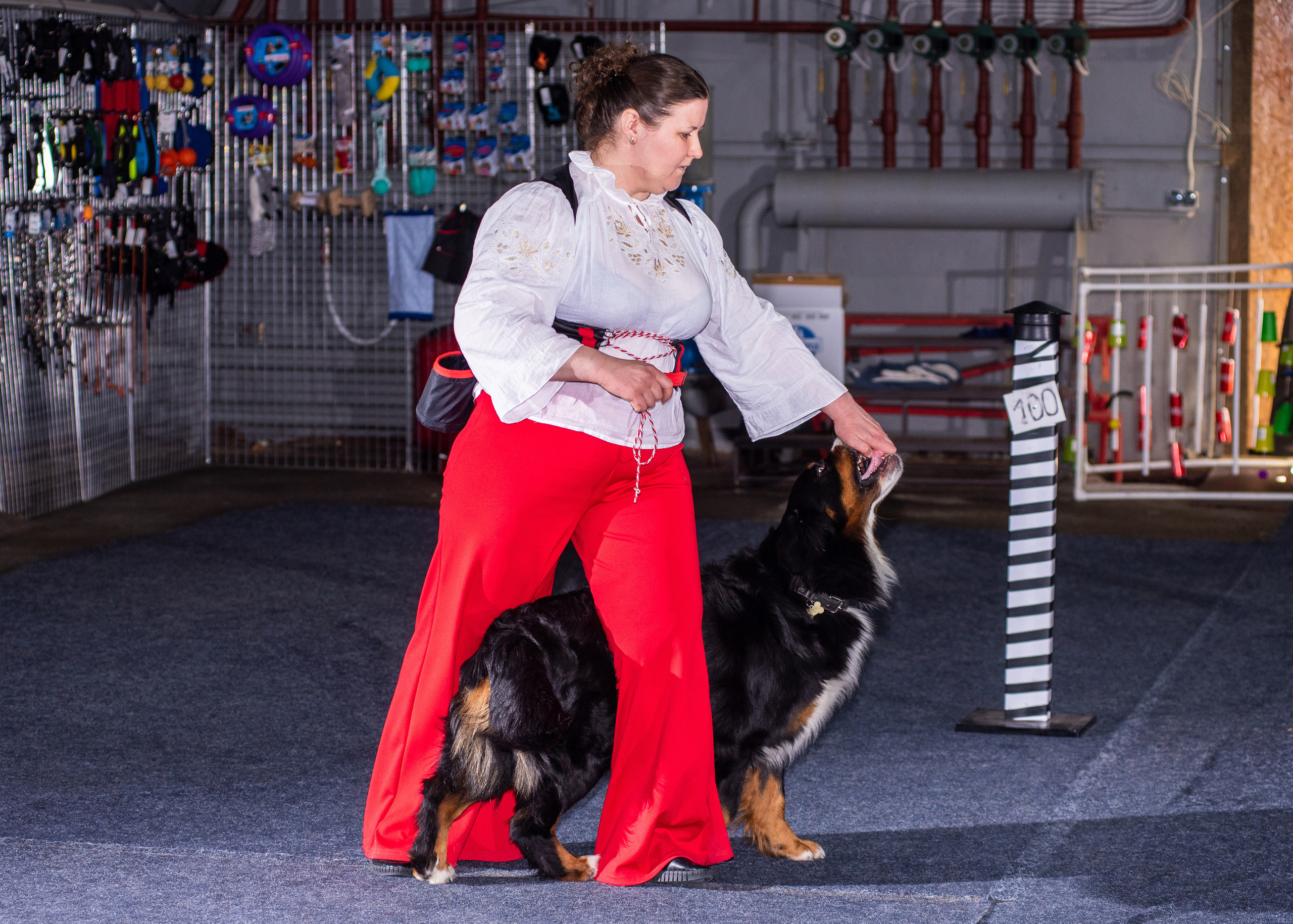 Танцы с собаками!. Дог-фотограф в Тюмени Александра Королева
