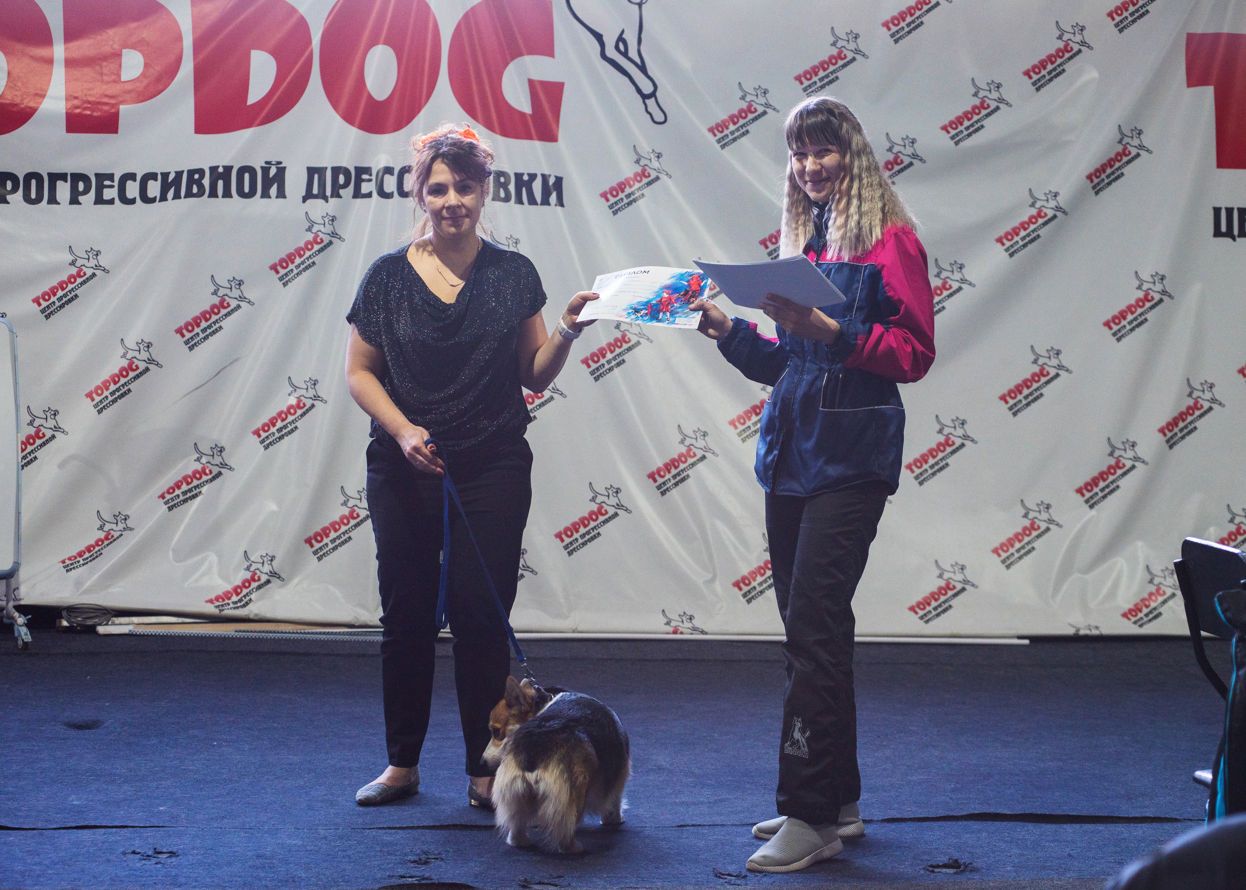 Танцы с собаками!. Дог-фотограф в Тюмени Александра Королева