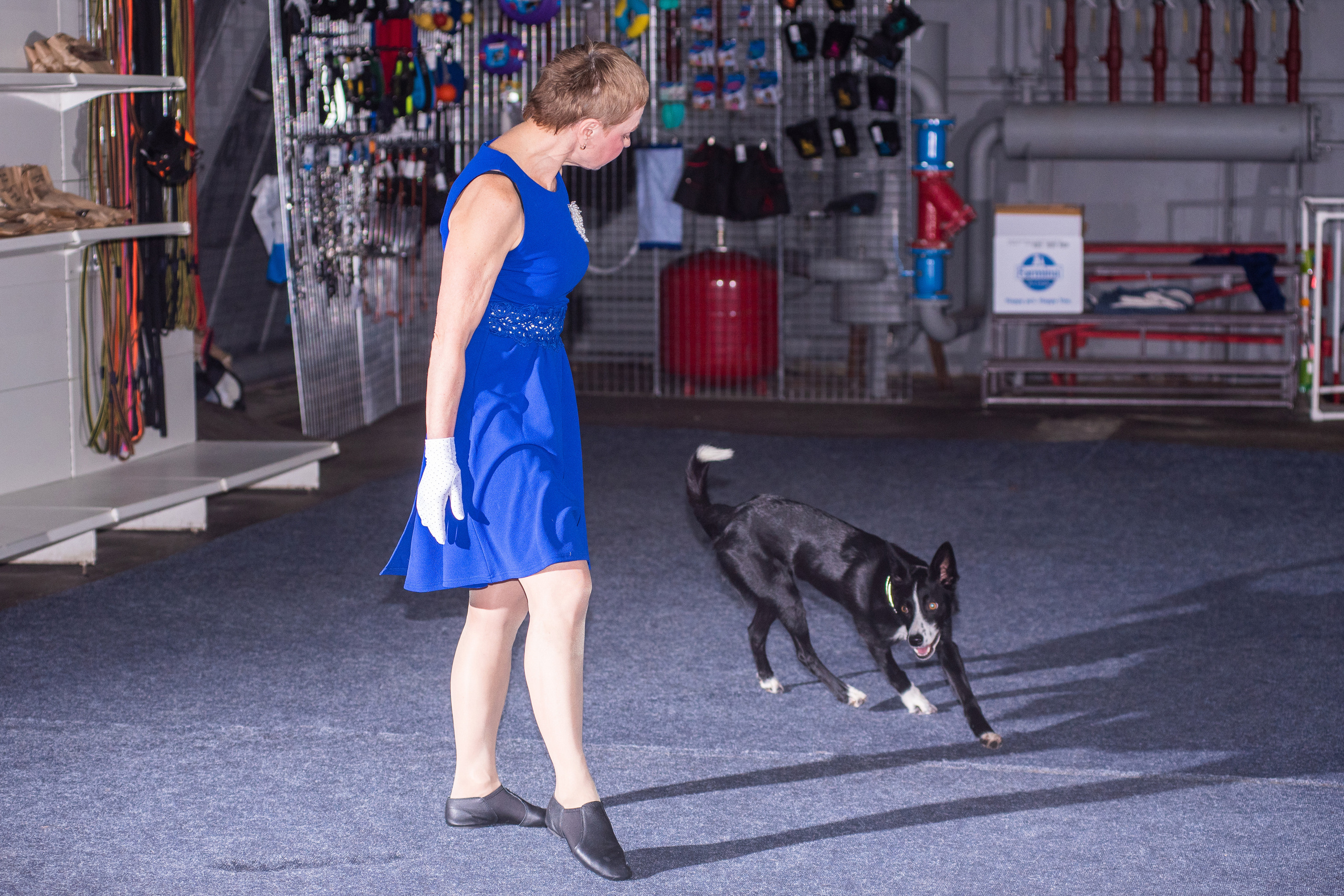 Танцы с собаками!. Дог-фотограф в Тюмени Александра Королева