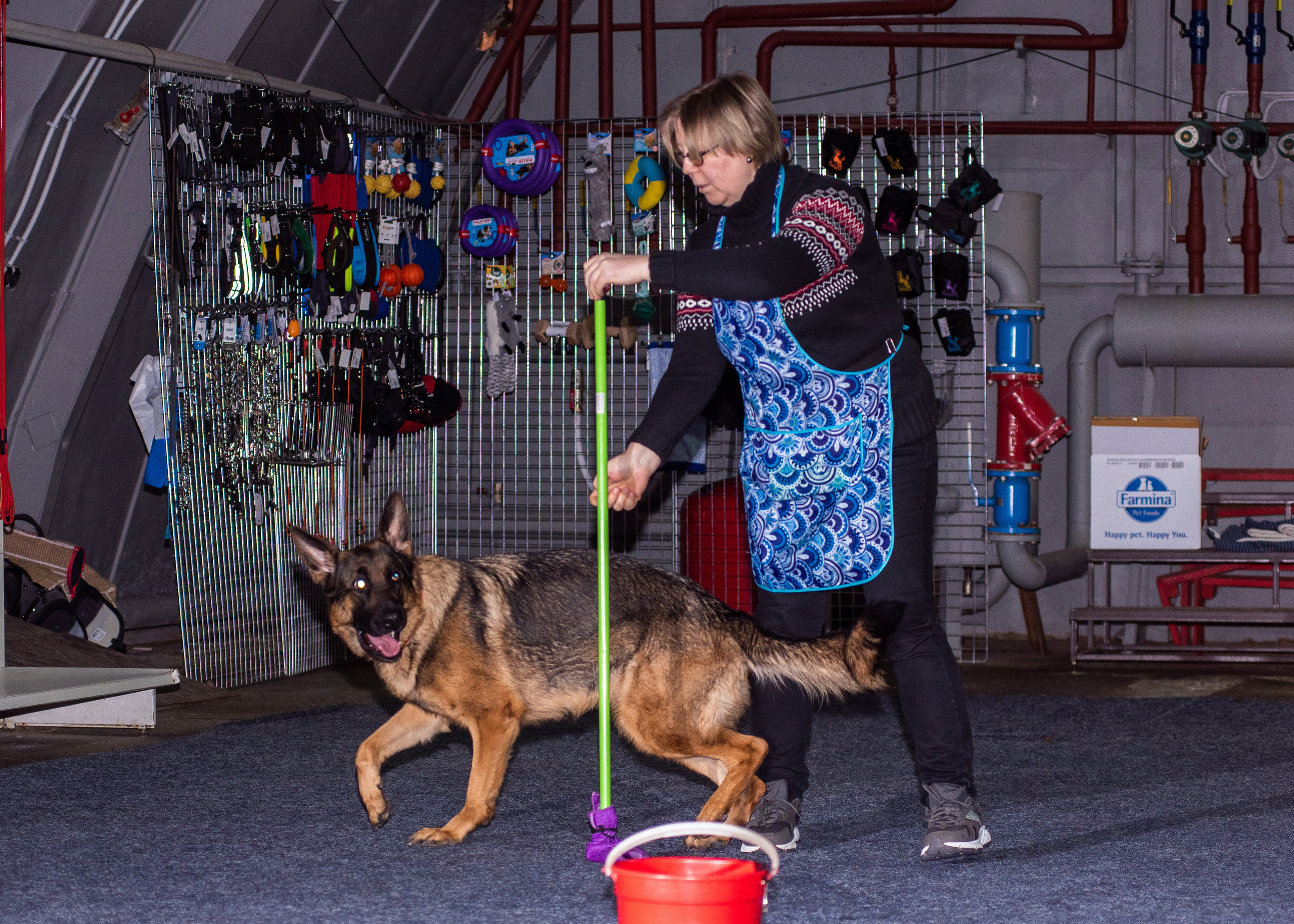Танцы с собаками!. Дог-фотограф в Тюмени Александра Королева