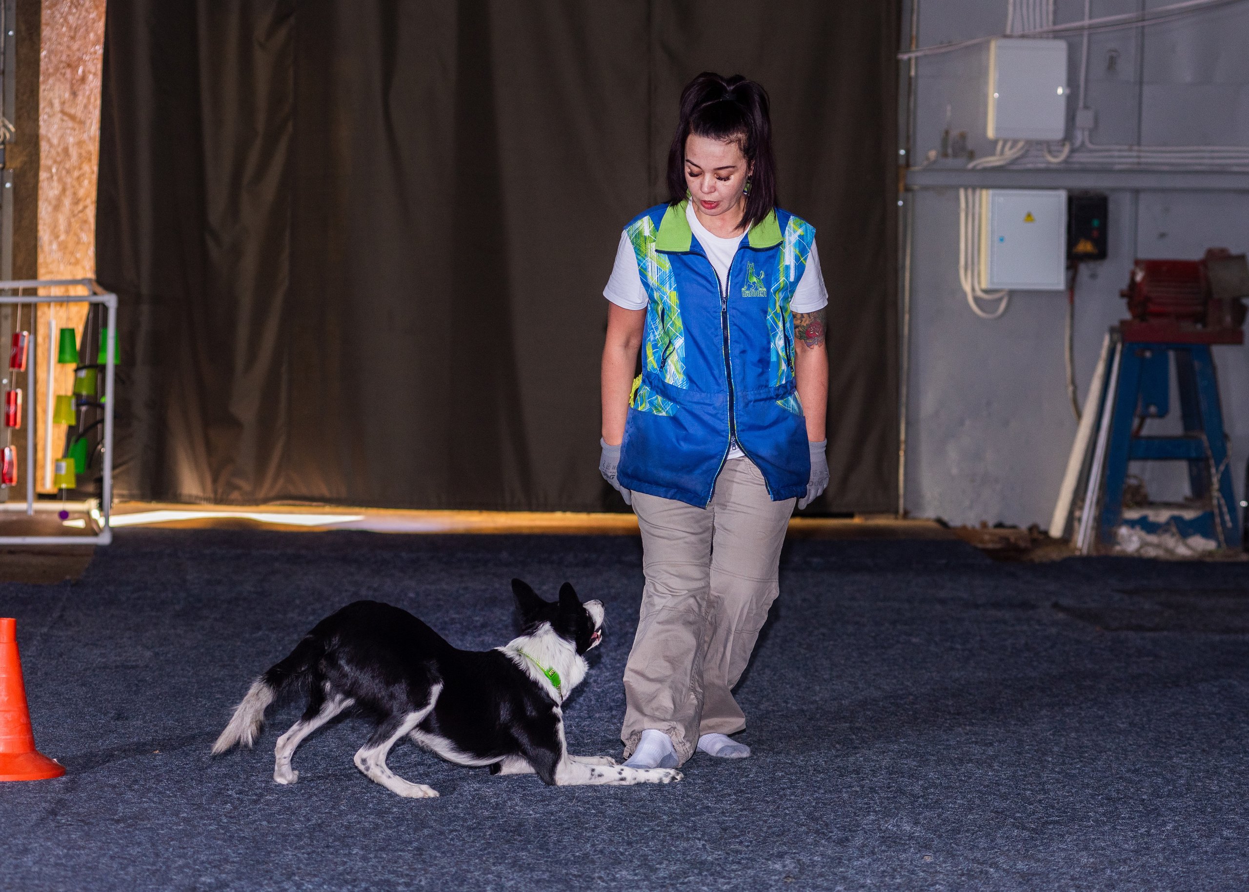 Танцы с собаками!. Дог-фотограф в Тюмени Александра Королева