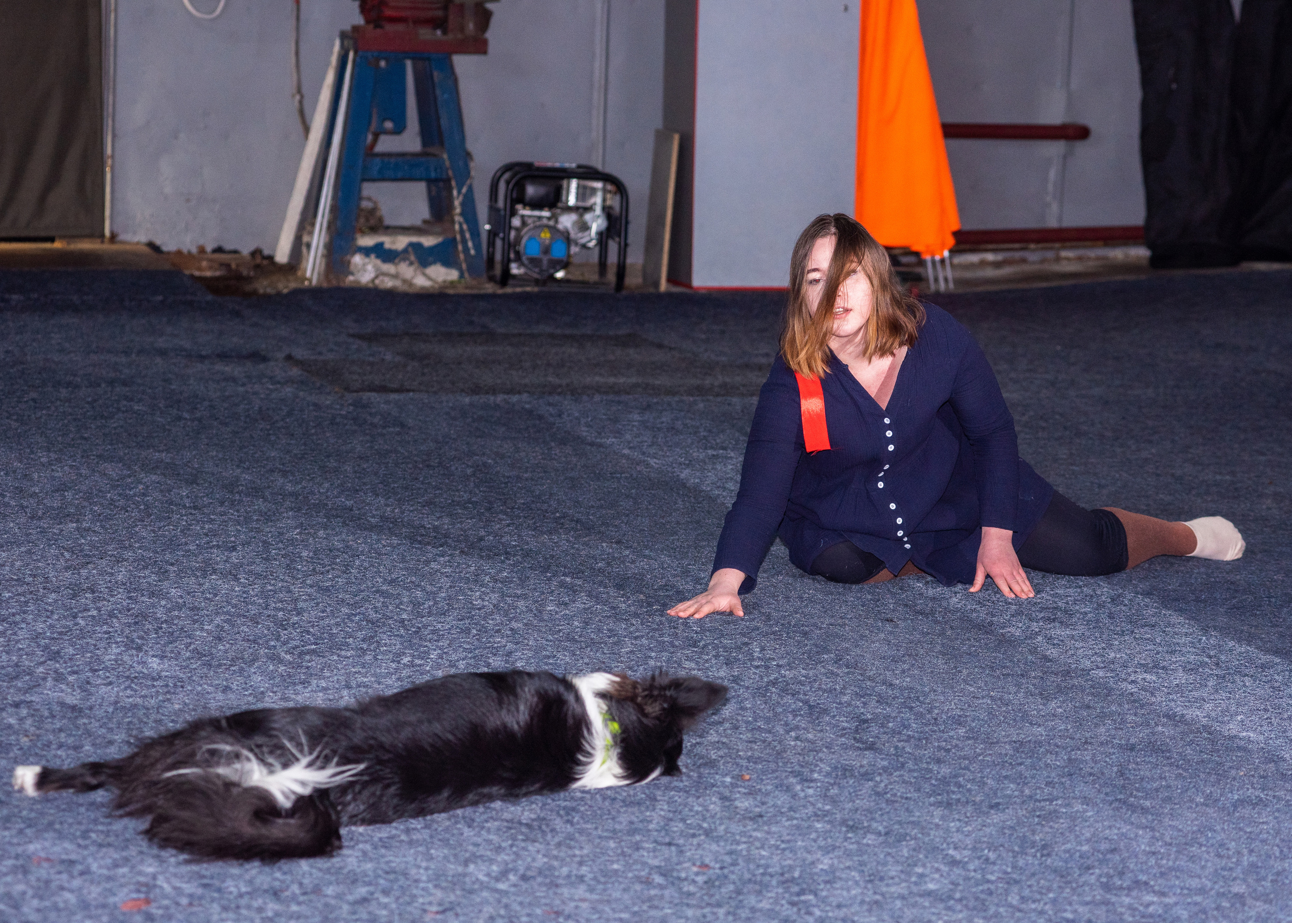 Танцы с собаками!. Дог-фотограф в Тюмени Александра Королева