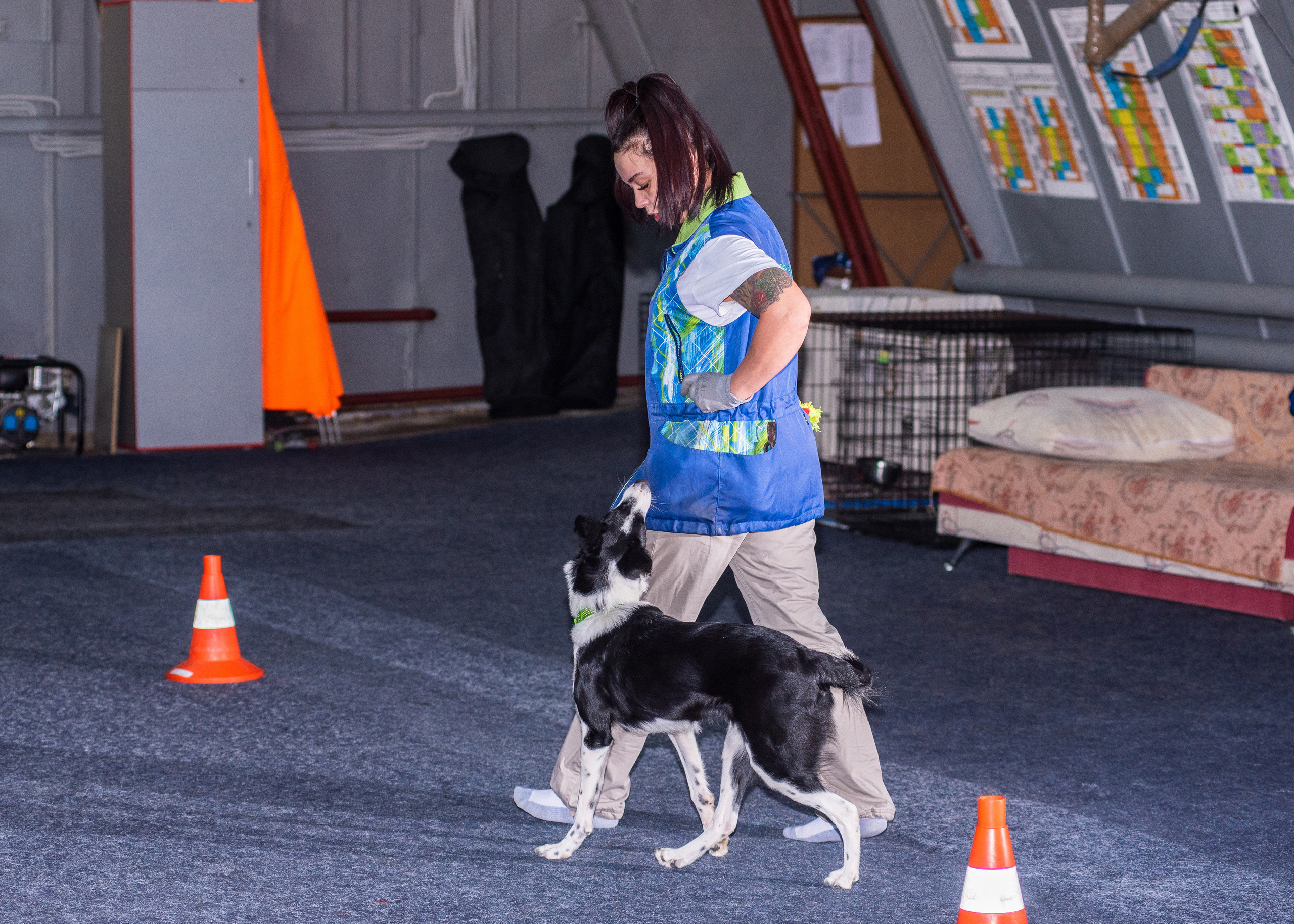 Танцы с собаками!. Дог-фотограф в Тюмени Александра Королева