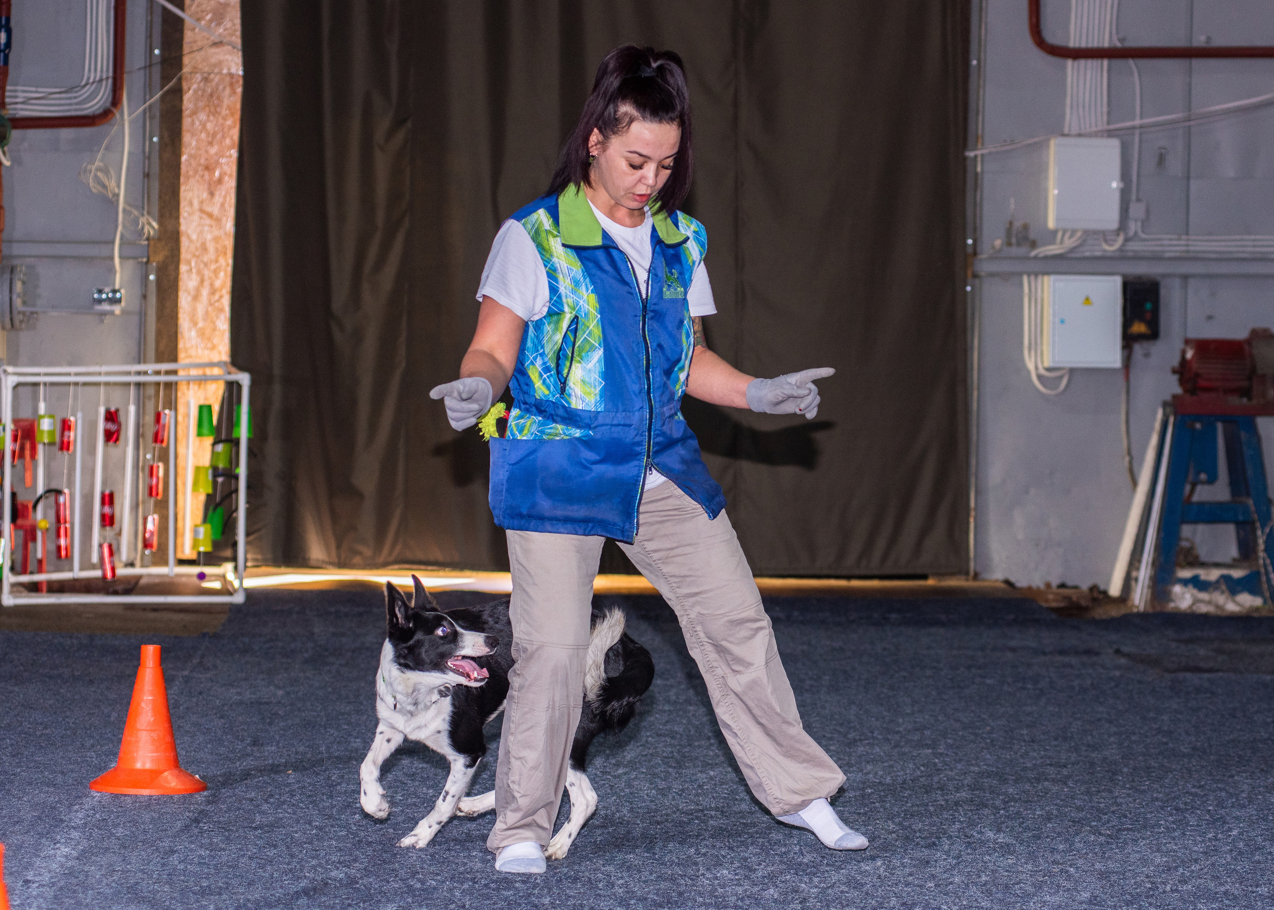 Танцы с собаками!. Дог-фотограф в Тюмени Александра Королева