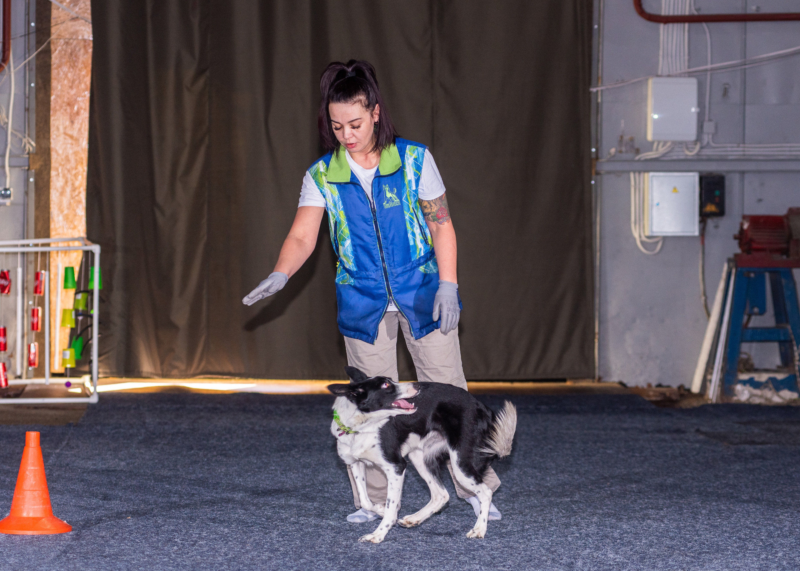 Танцы с собаками!. Дог-фотограф в Тюмени Александра Королева