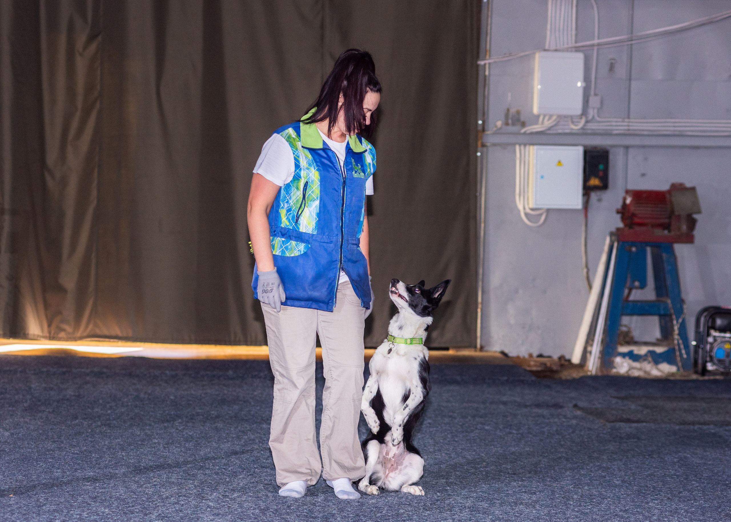 Танцы с собаками!. Дог-фотограф в Тюмени Александра Королева