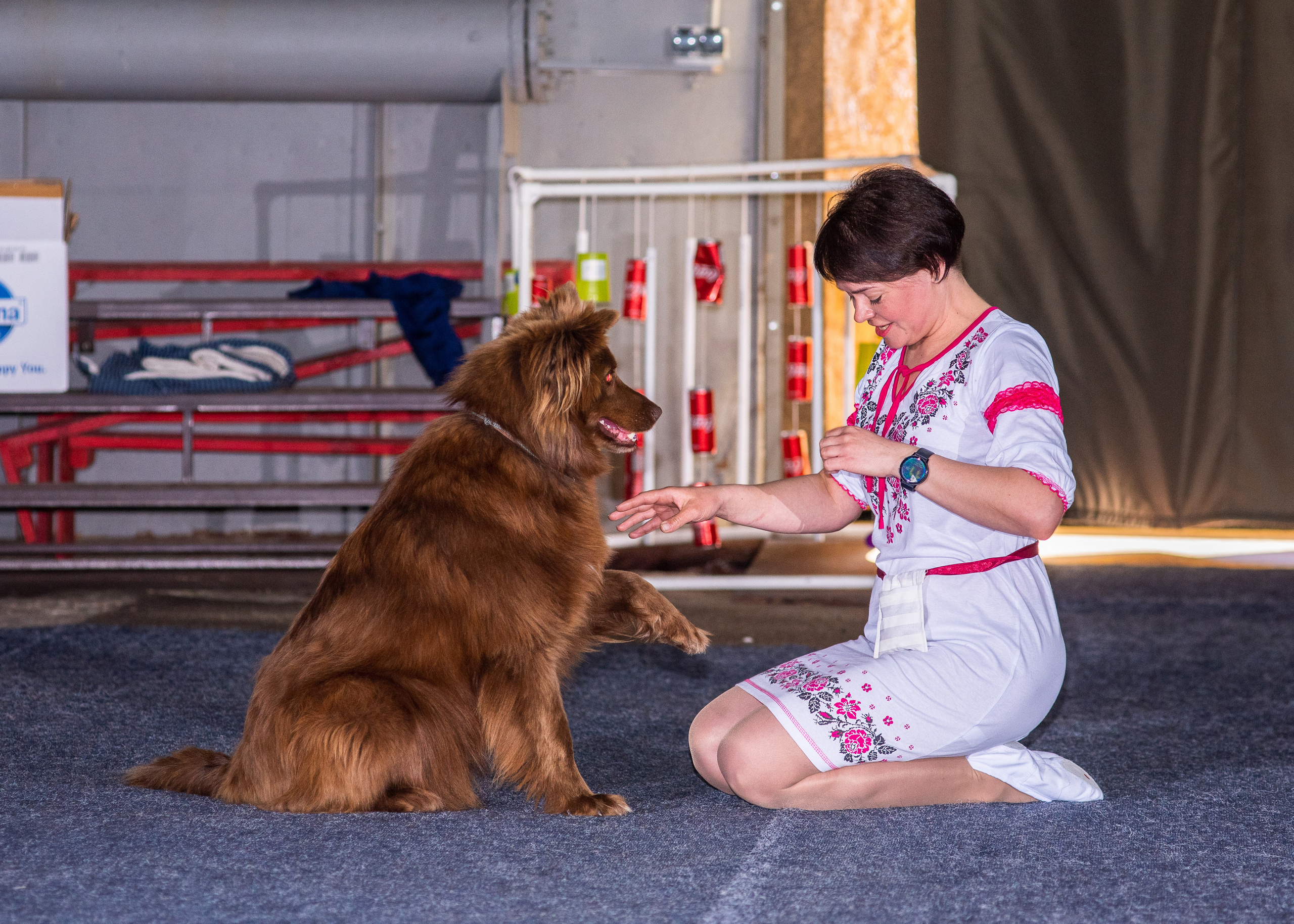 Танцы с собаками!. Дог-фотограф в Тюмени Александра Королева