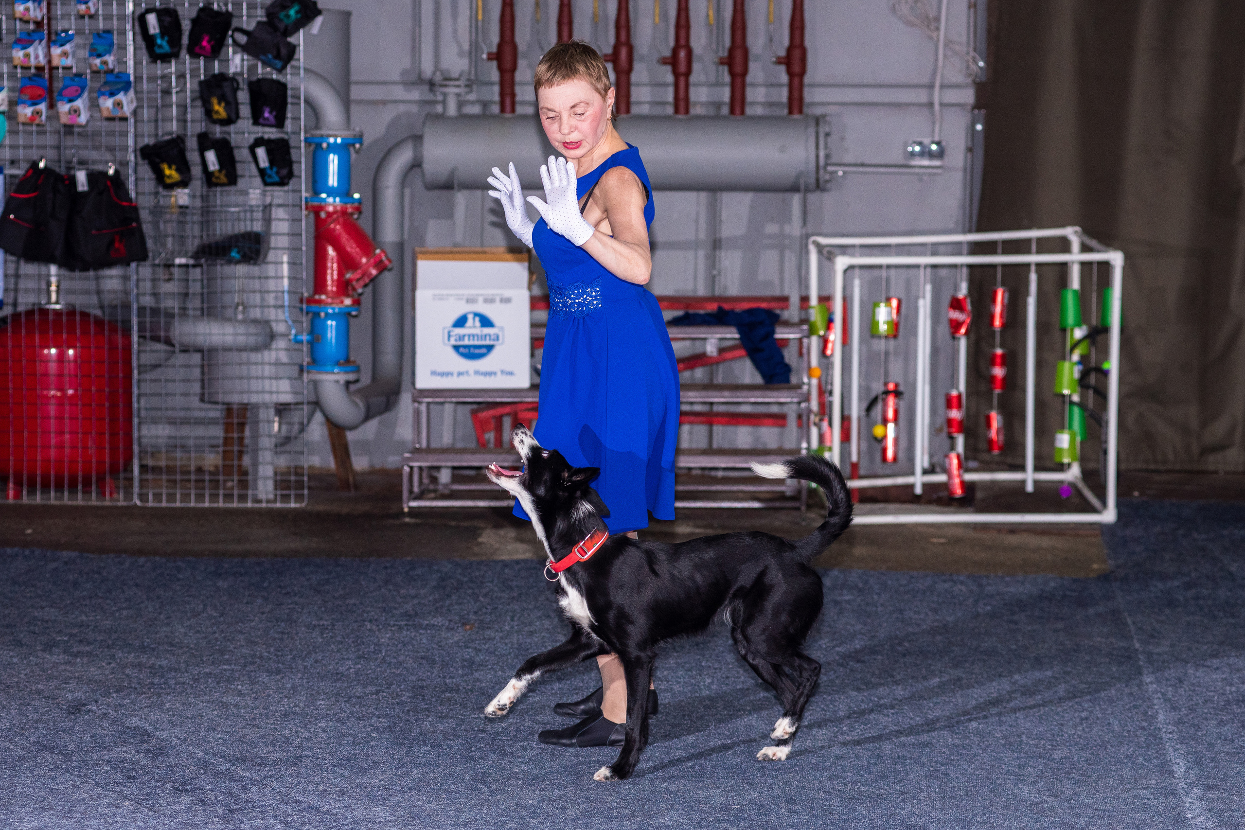 Танцы с собаками!. Дог-фотограф в Тюмени Александра Королева