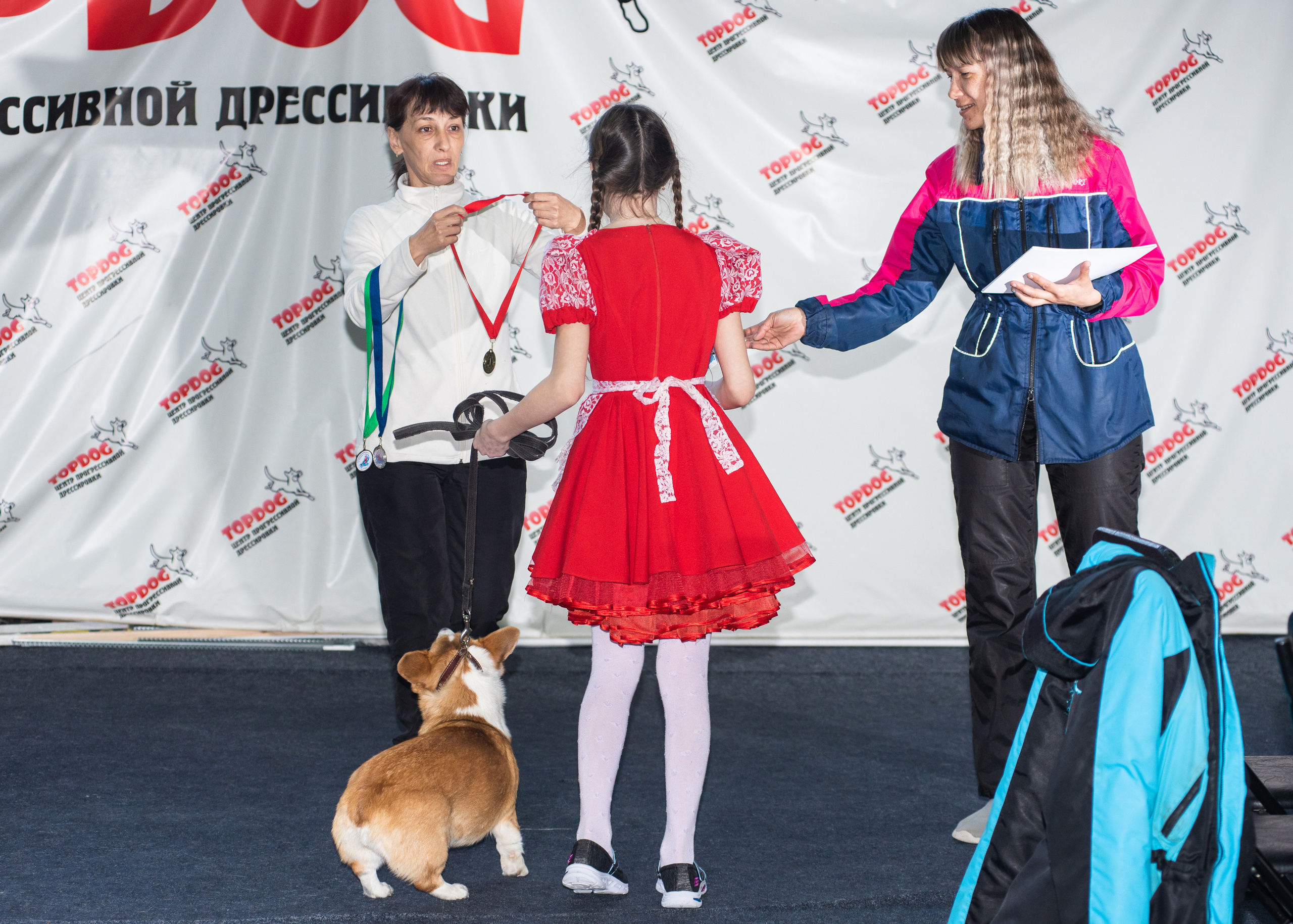 Танцы с собаками!. Дог-фотограф в Тюмени Александра Королева