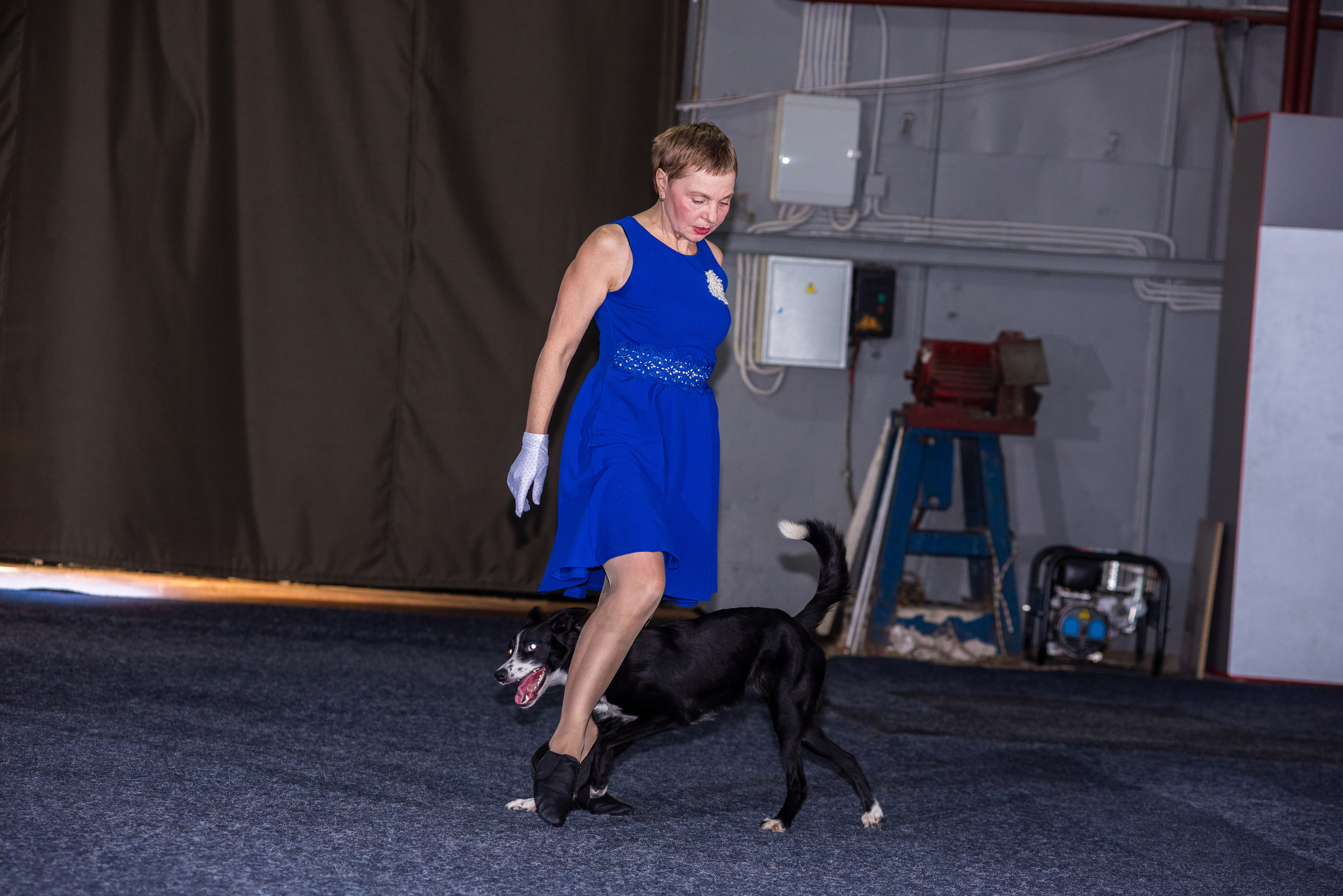 Танцы с собаками!. Дог-фотограф в Тюмени Александра Королева