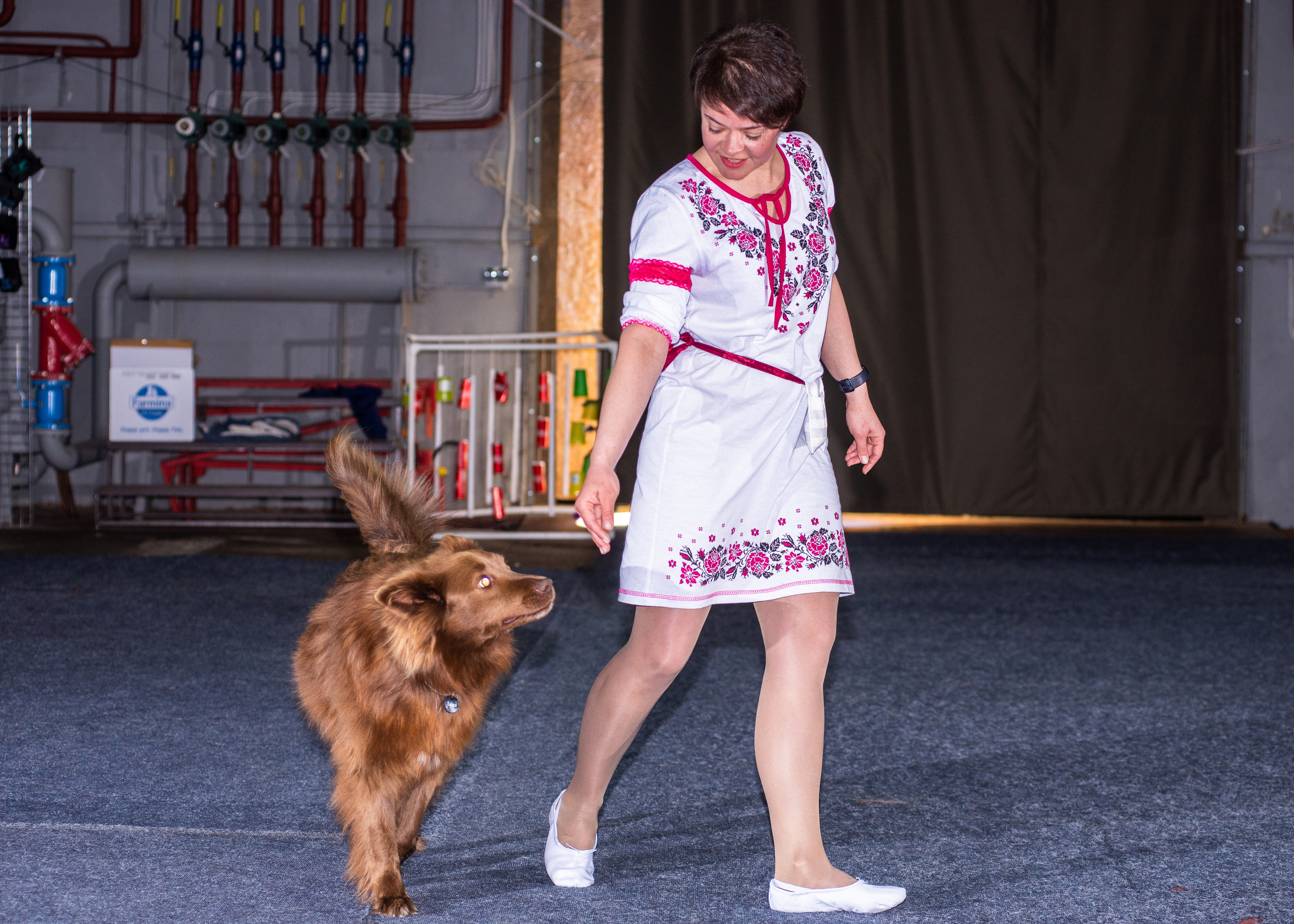 Танцы с собаками!. Дог-фотограф в Тюмени Александра Королева