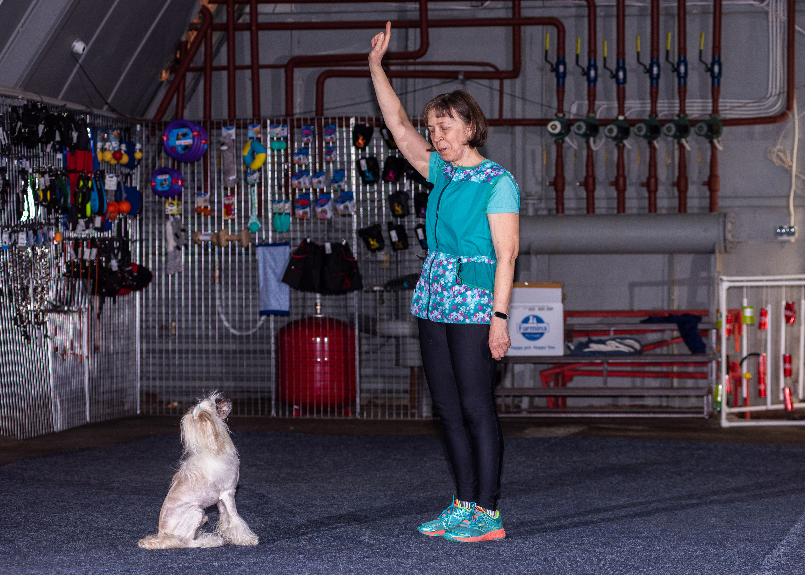 Танцы с собаками!. Дог-фотограф в Тюмени Александра Королева