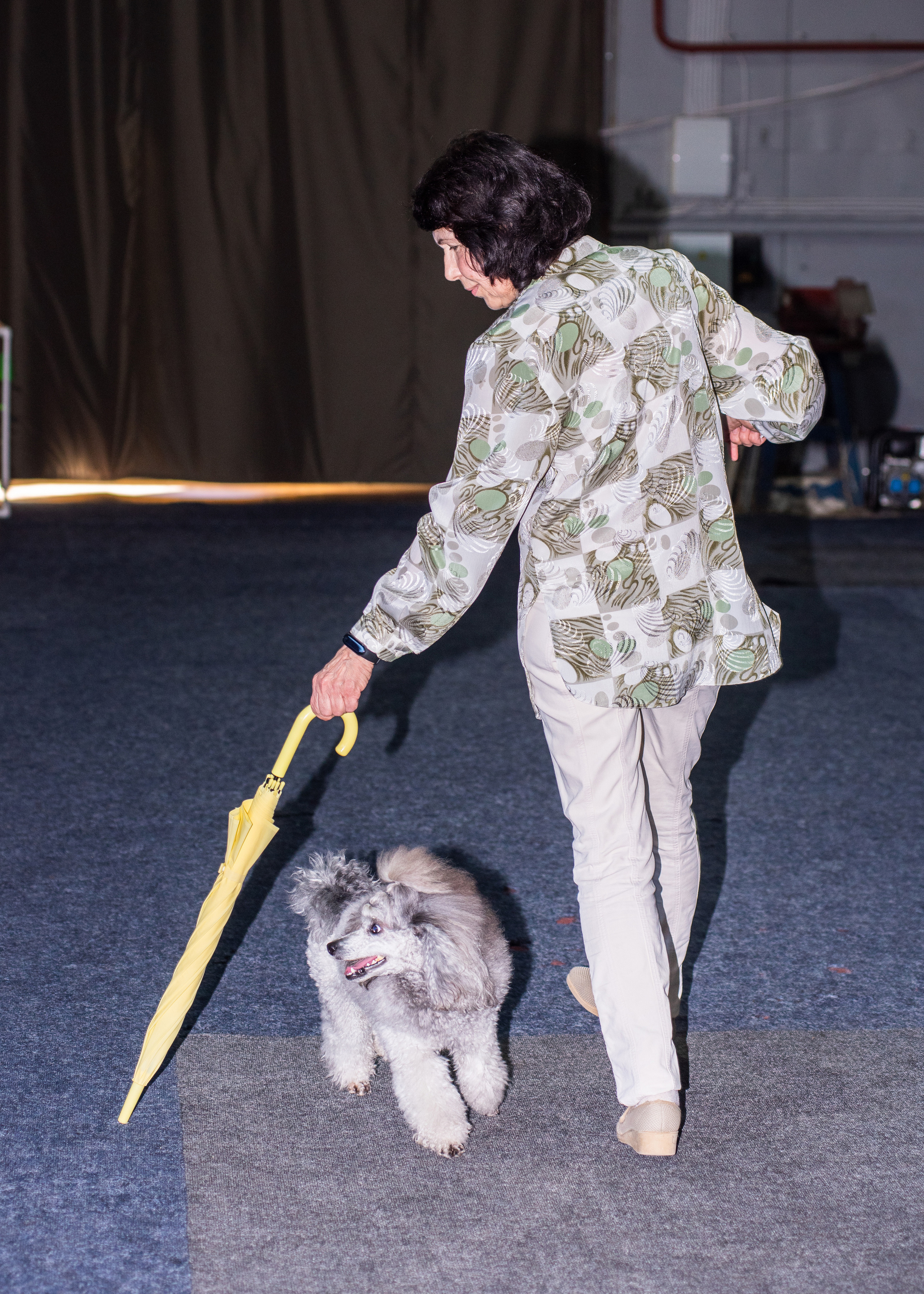 Танцы с собаками!. Дог-фотограф в Тюмени Александра Королева