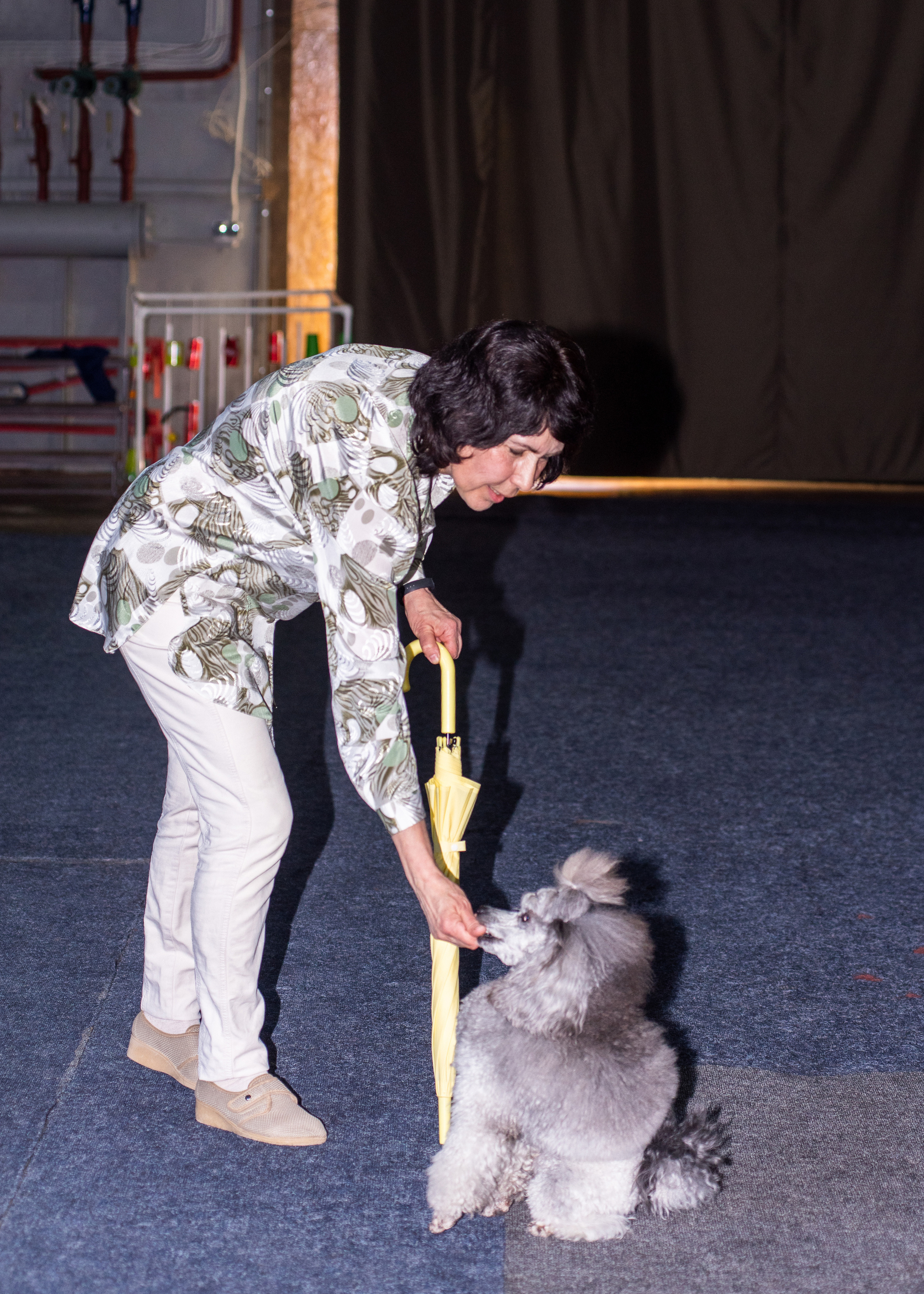 Танцы с собаками!. Дог-фотограф в Тюмени Александра Королева