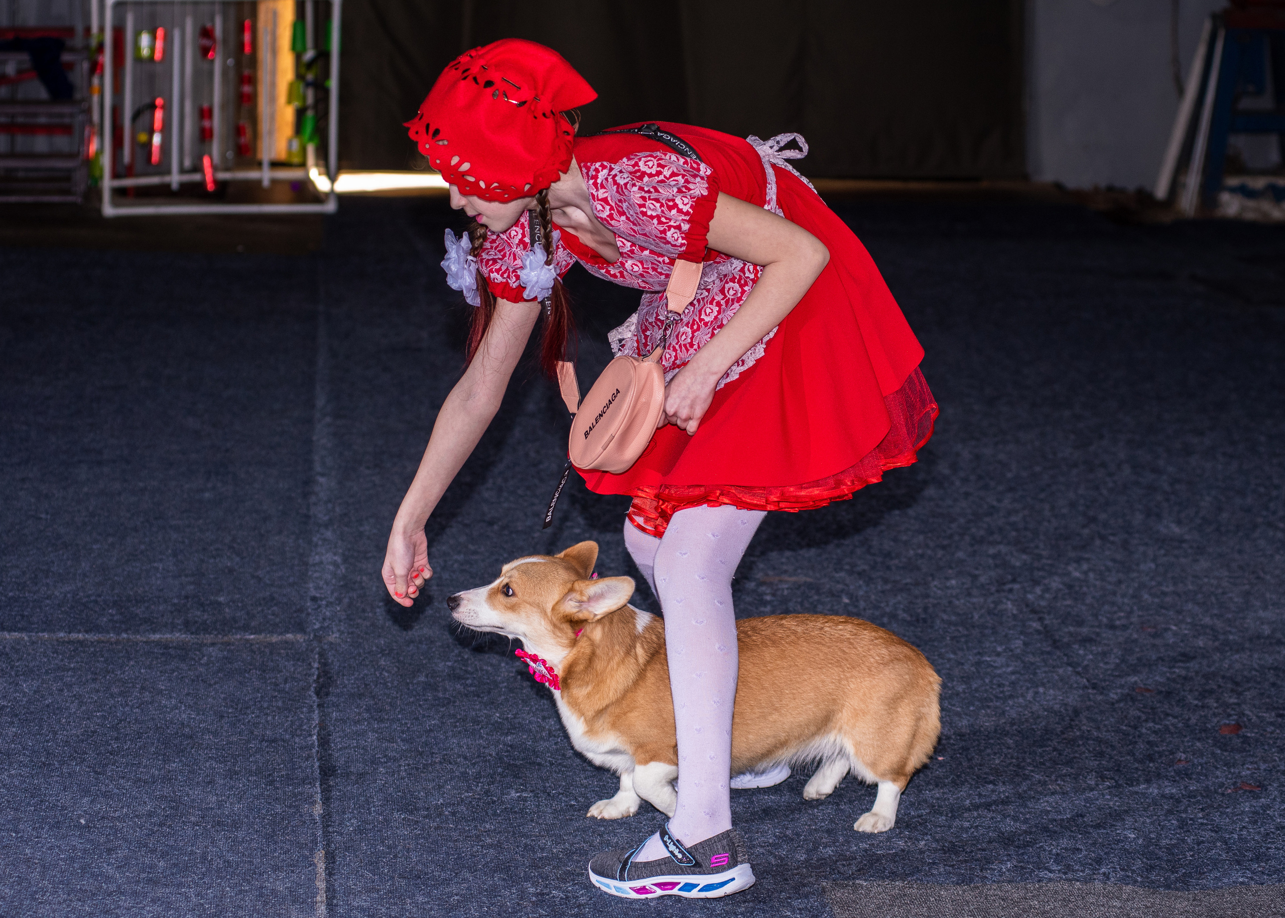 Танцы с собаками!. Дог-фотограф в Тюмени Александра Королева