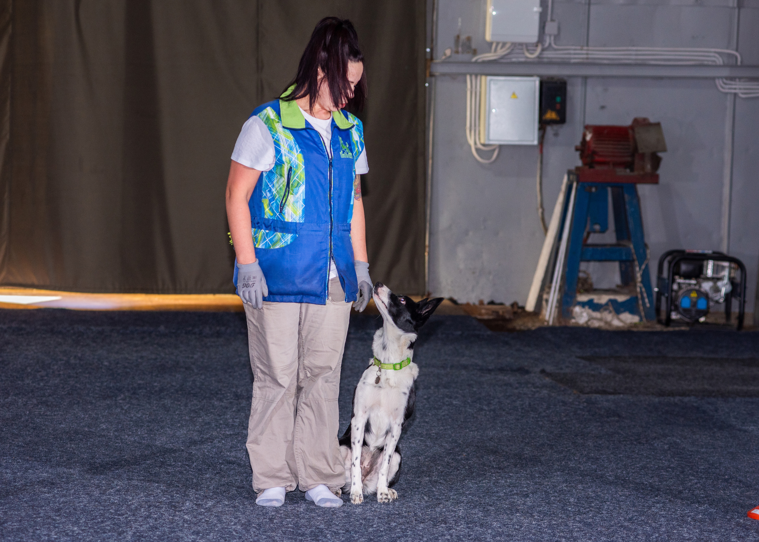 Танцы с собаками!. Дог-фотограф в Тюмени Александра Королева