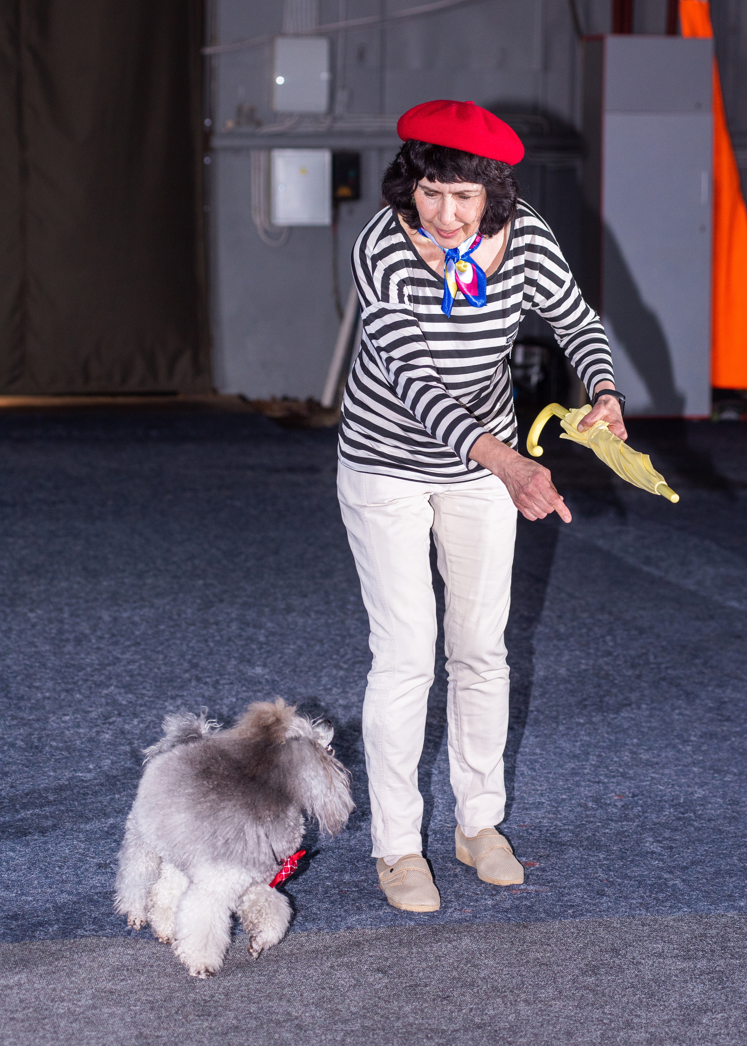 Танцы с собаками!. Дог-фотограф в Тюмени Александра Королева