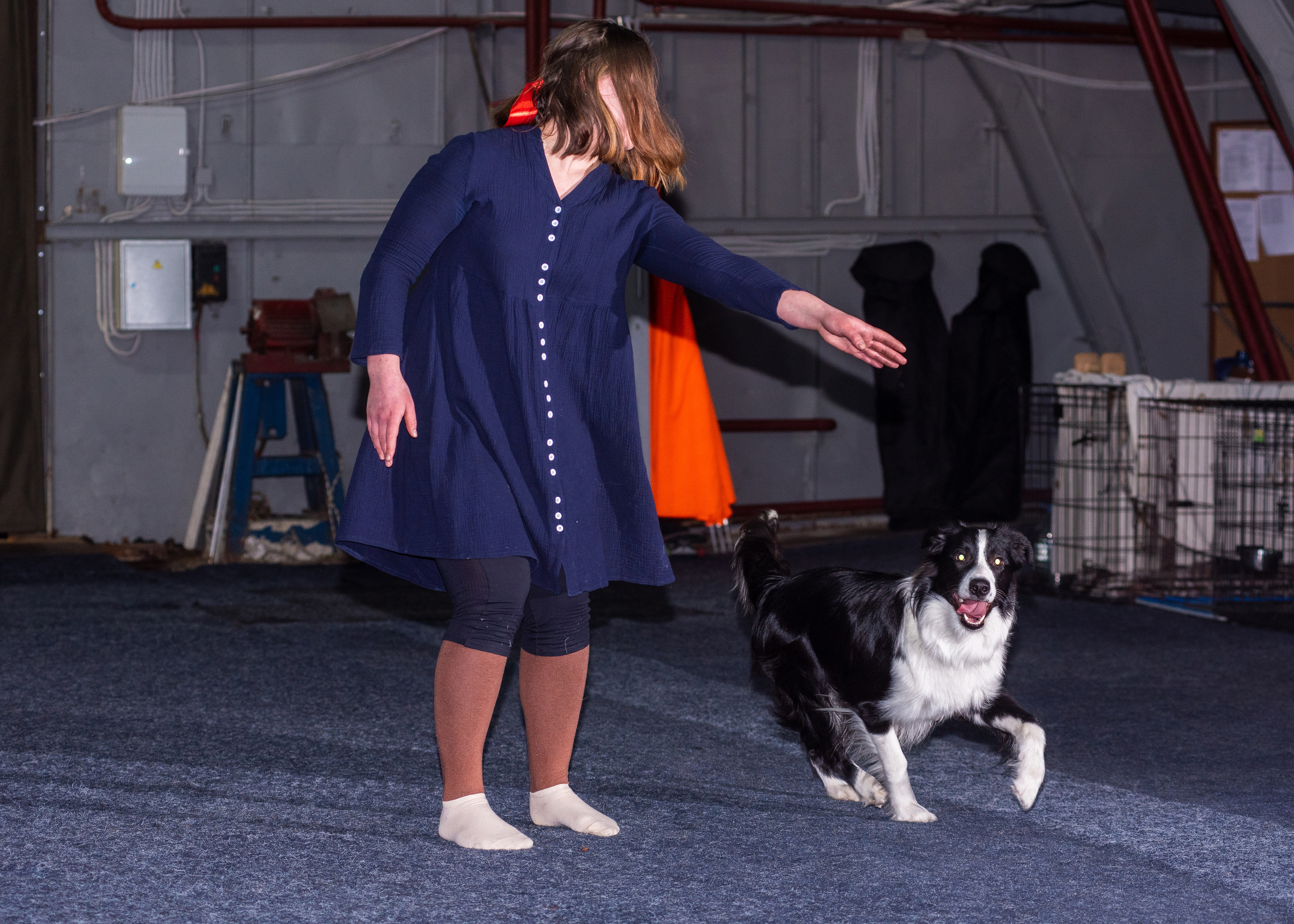 Танцы с собаками!. Дог-фотограф в Тюмени Александра Королева