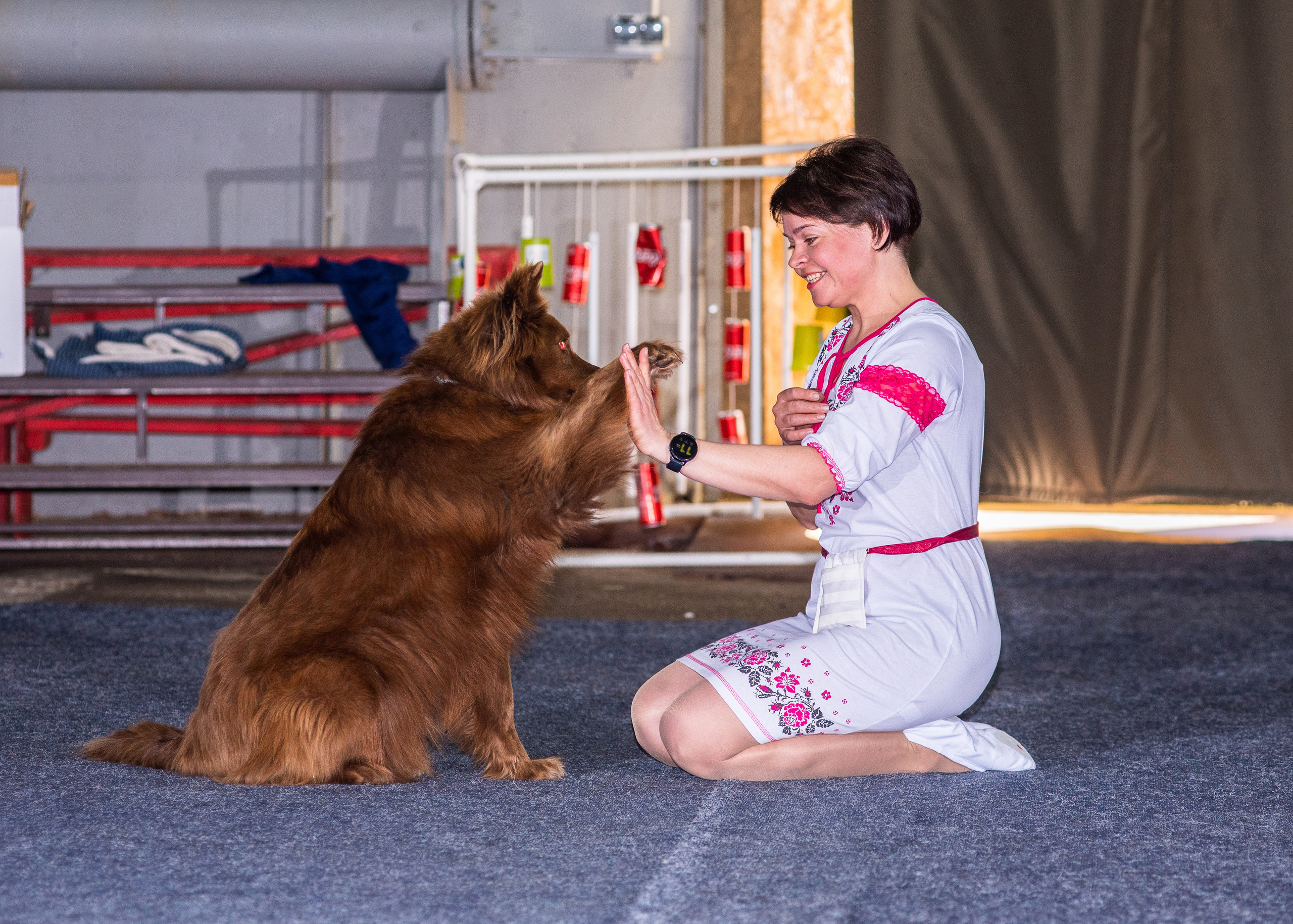 Танцы с собаками!. Дог-фотограф в Тюмени Александра Королева