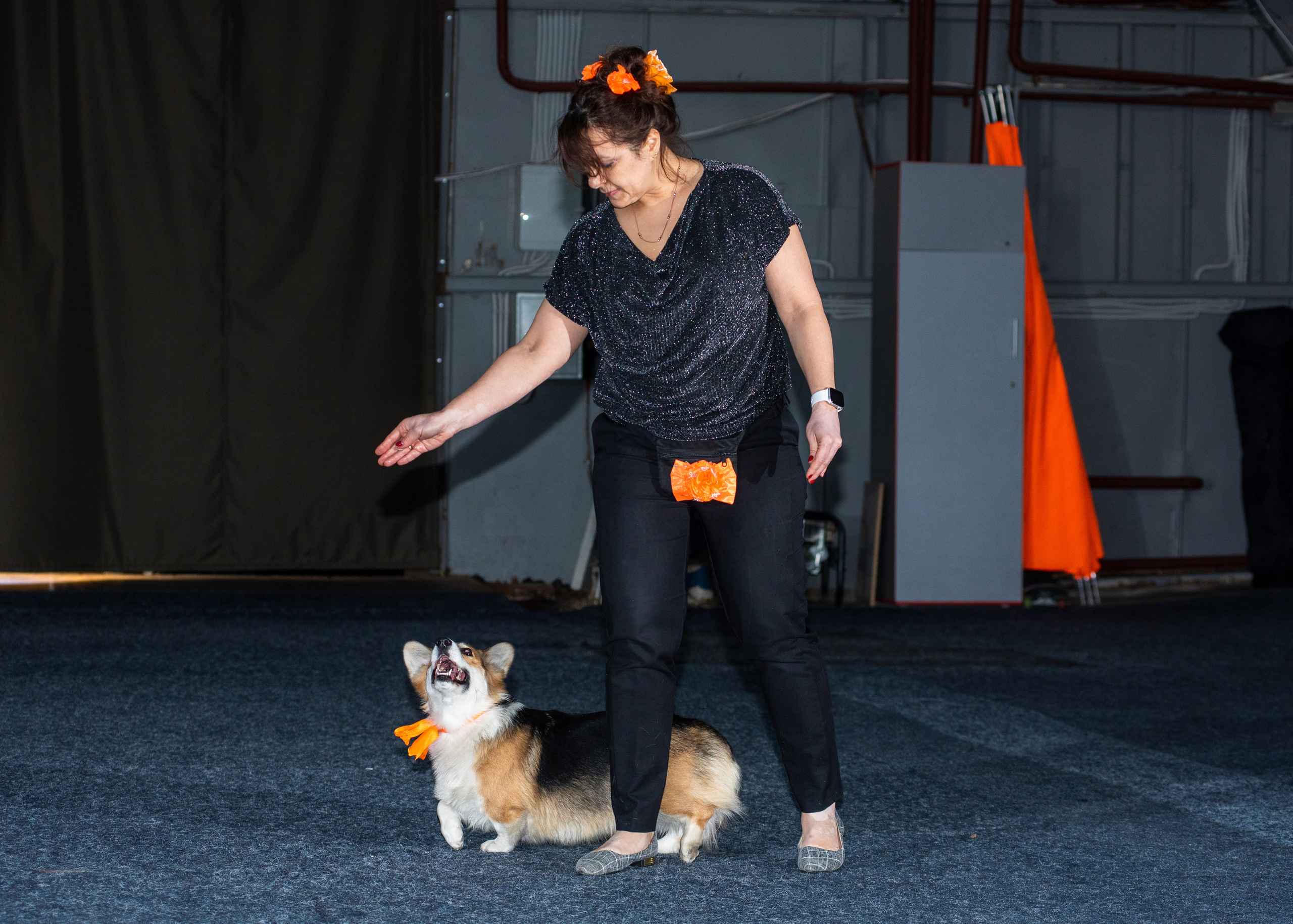 Танцы с собаками!. Дог-фотограф в Тюмени Александра Королева