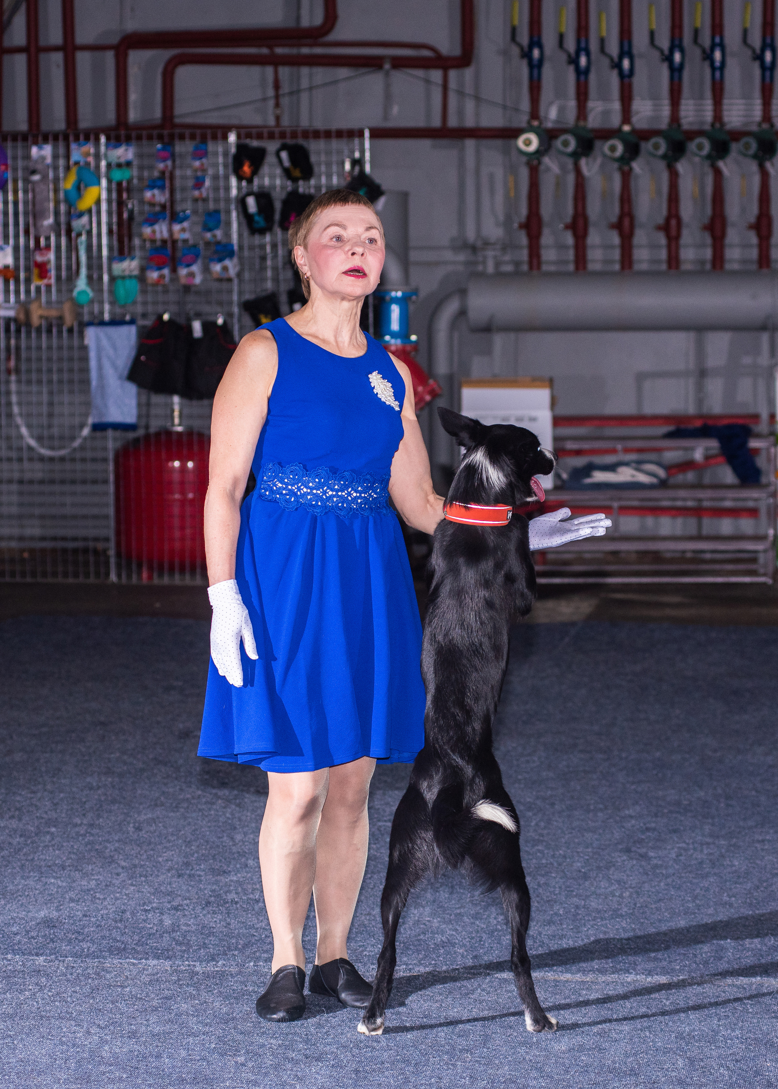 Танцы с собаками!. Дог-фотограф в Тюмени Александра Королева