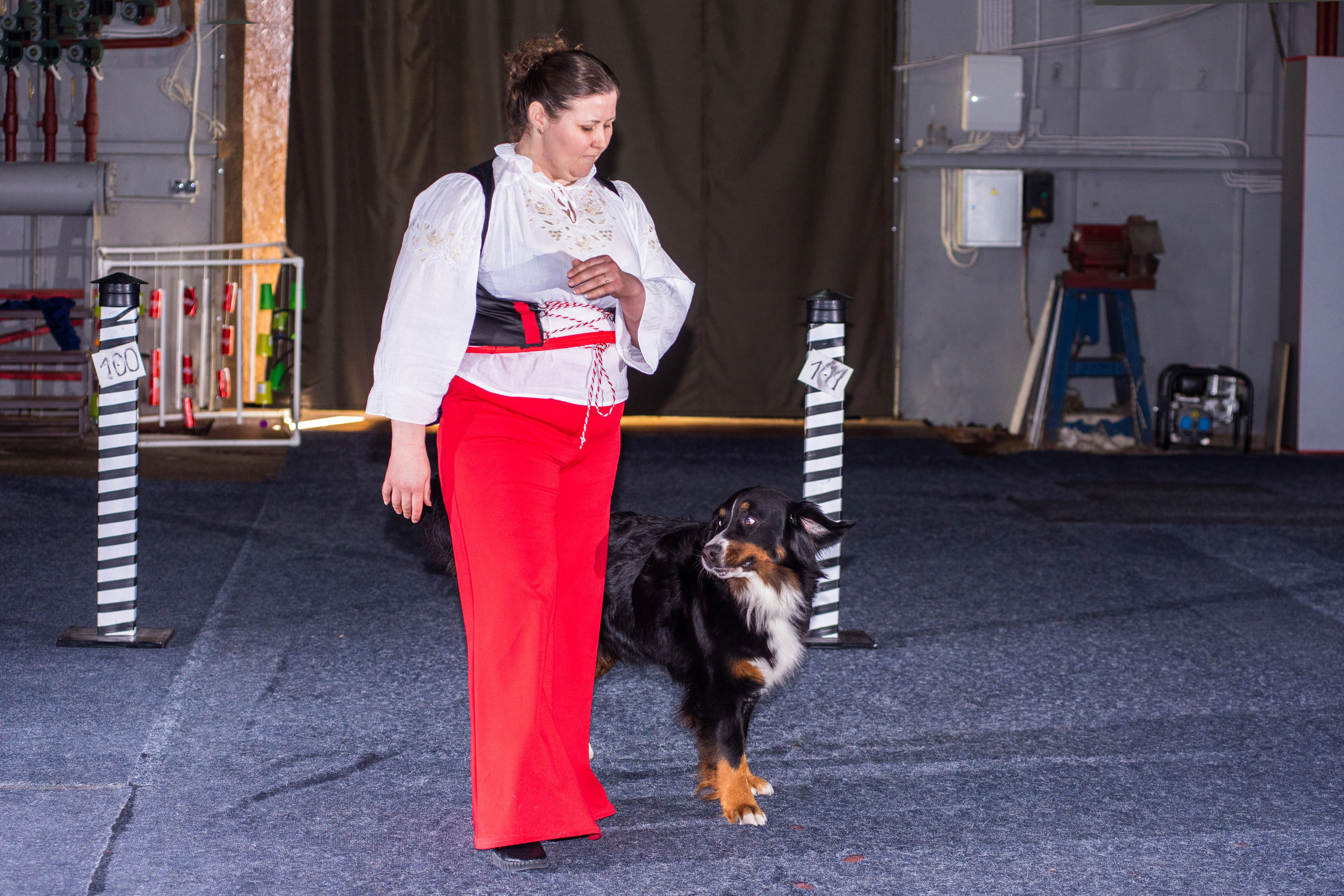 Танцы с собаками!. Дог-фотограф в Тюмени Александра Королева