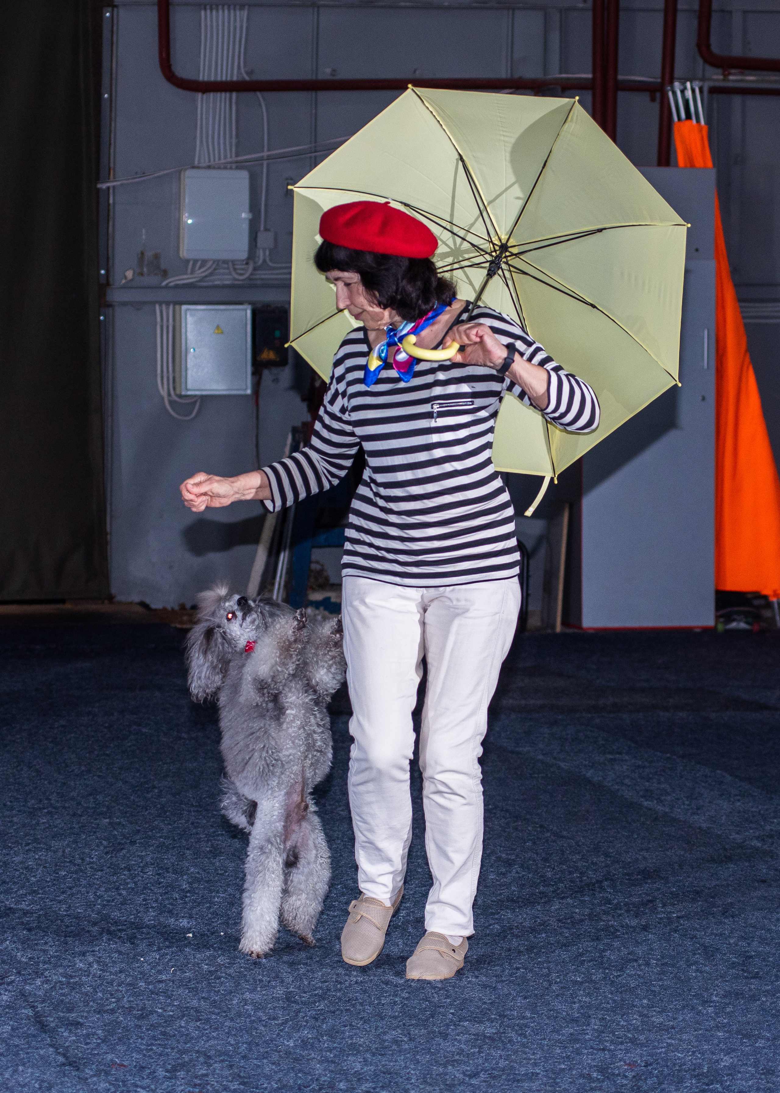 Танцы с собаками!. Дог-фотограф в Тюмени Александра Королева