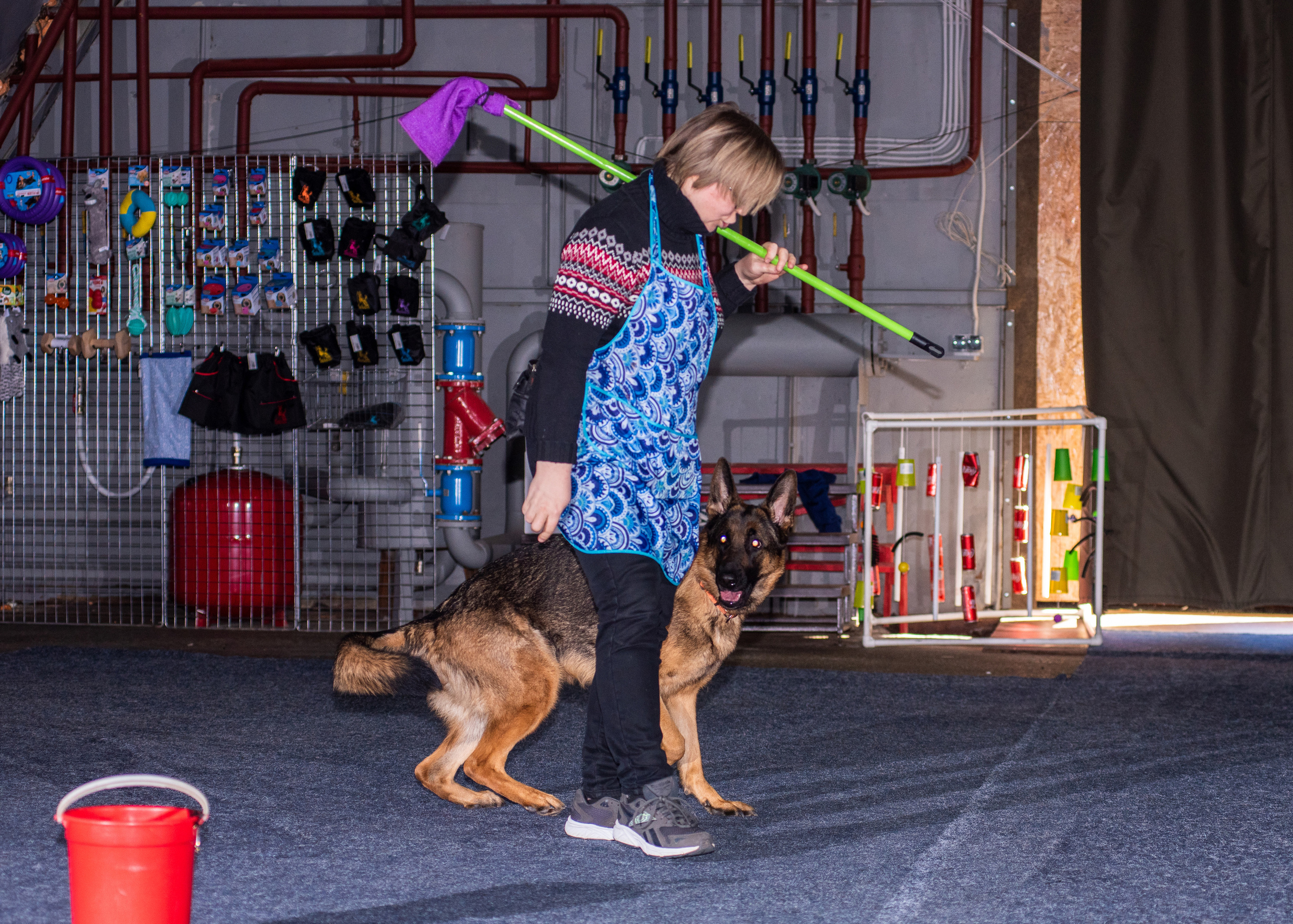 Танцы с собаками!. Дог-фотограф в Тюмени Александра Королева