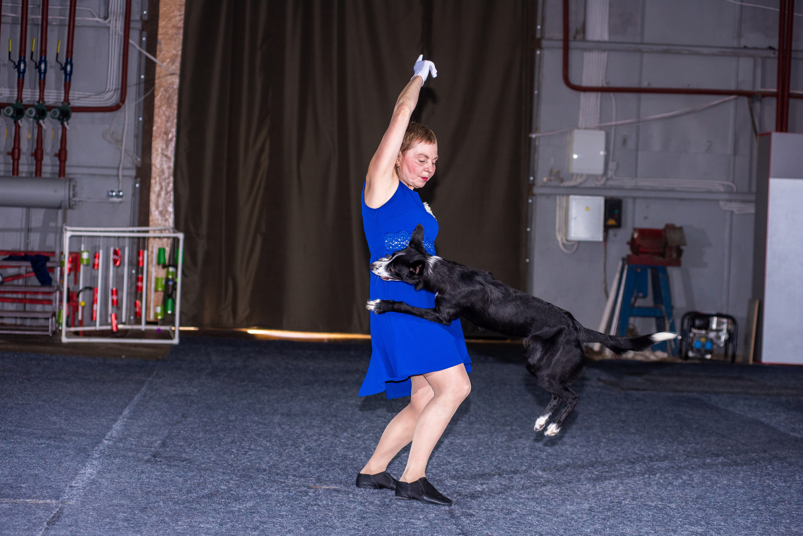 Танцы с собаками!. Дог-фотограф в Тюмени Александра Королева