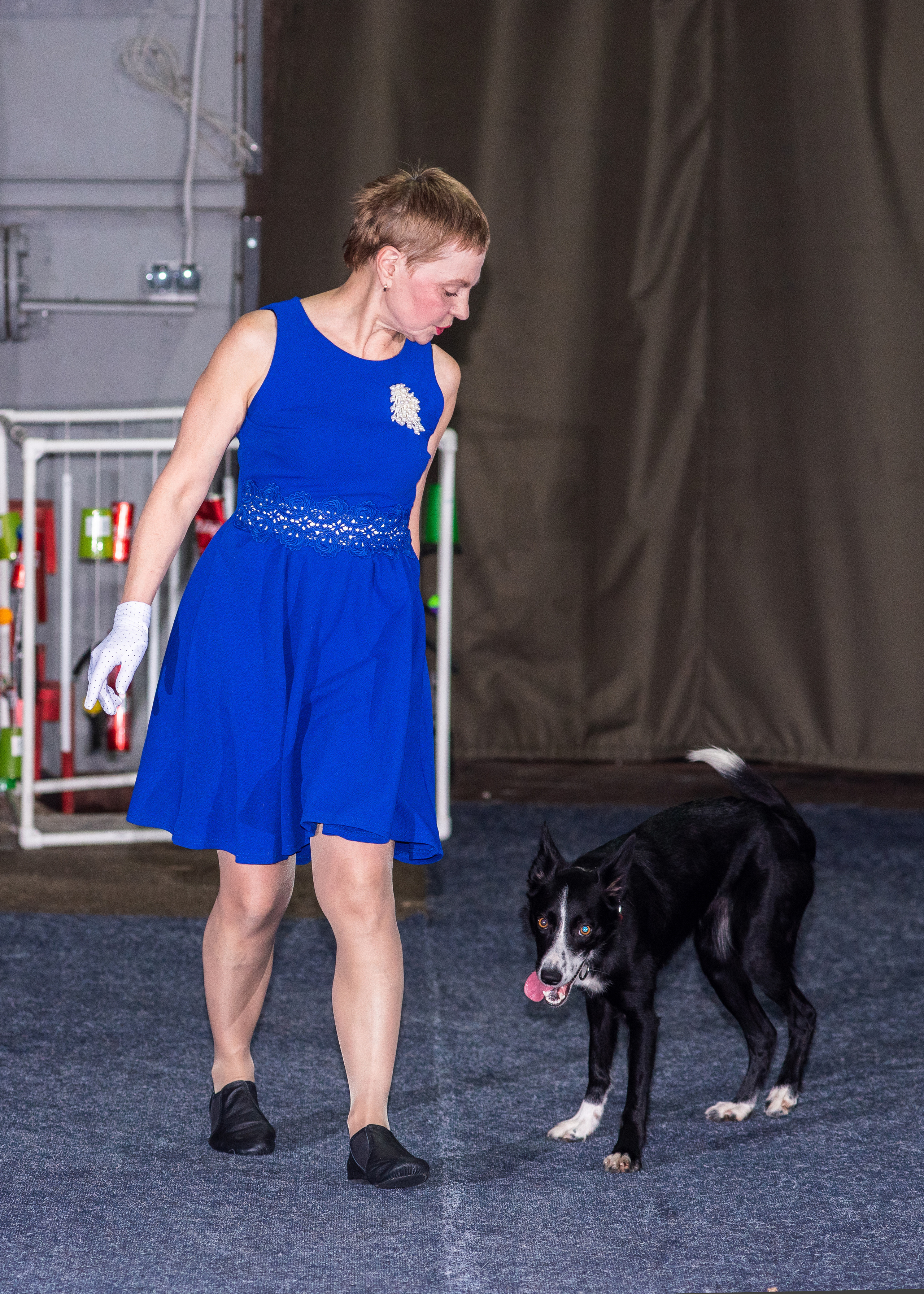 Танцы с собаками!. Дог-фотограф в Тюмени Александра Королева