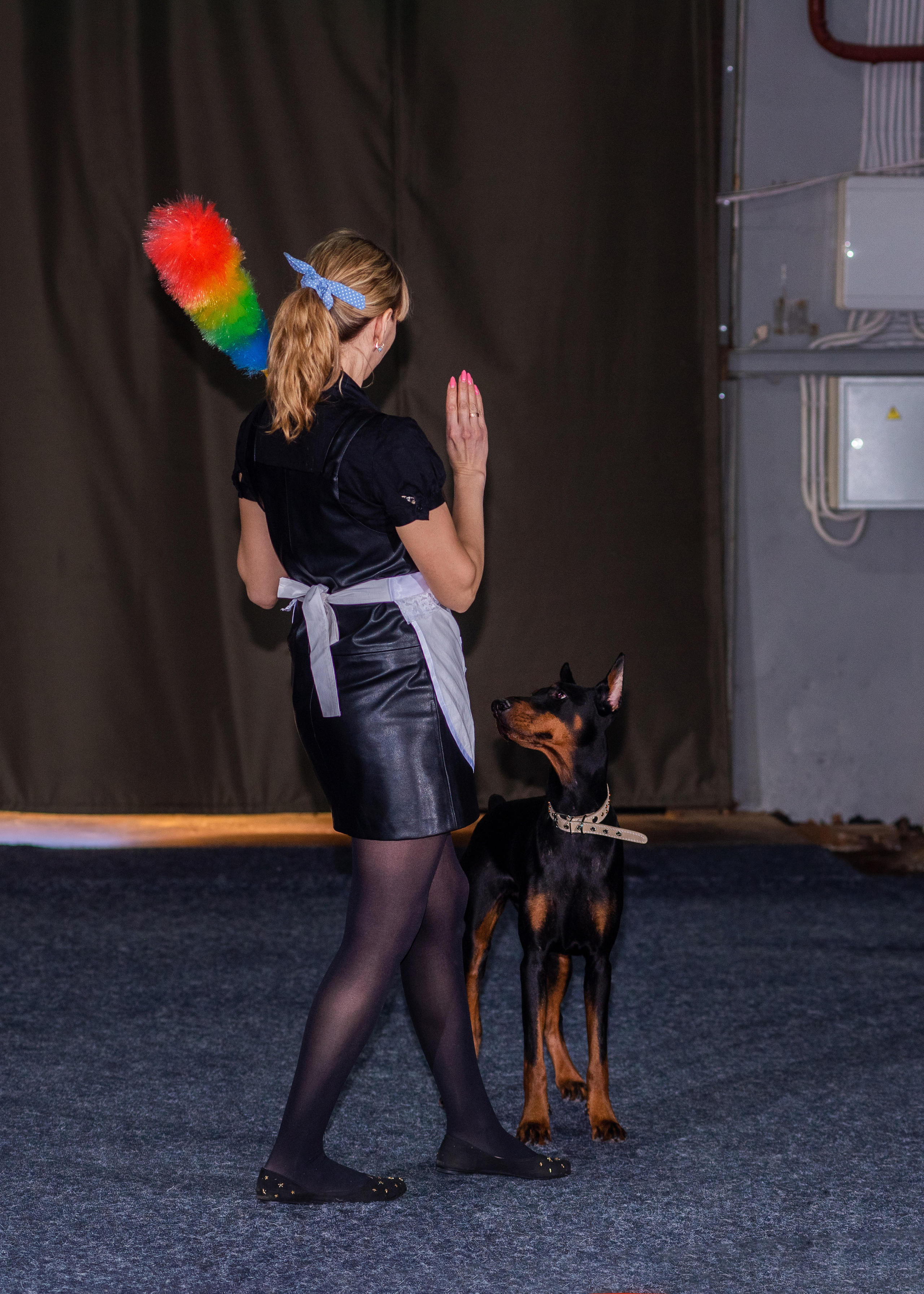 Танцы с собаками!. Дог-фотограф в Тюмени Александра Королева