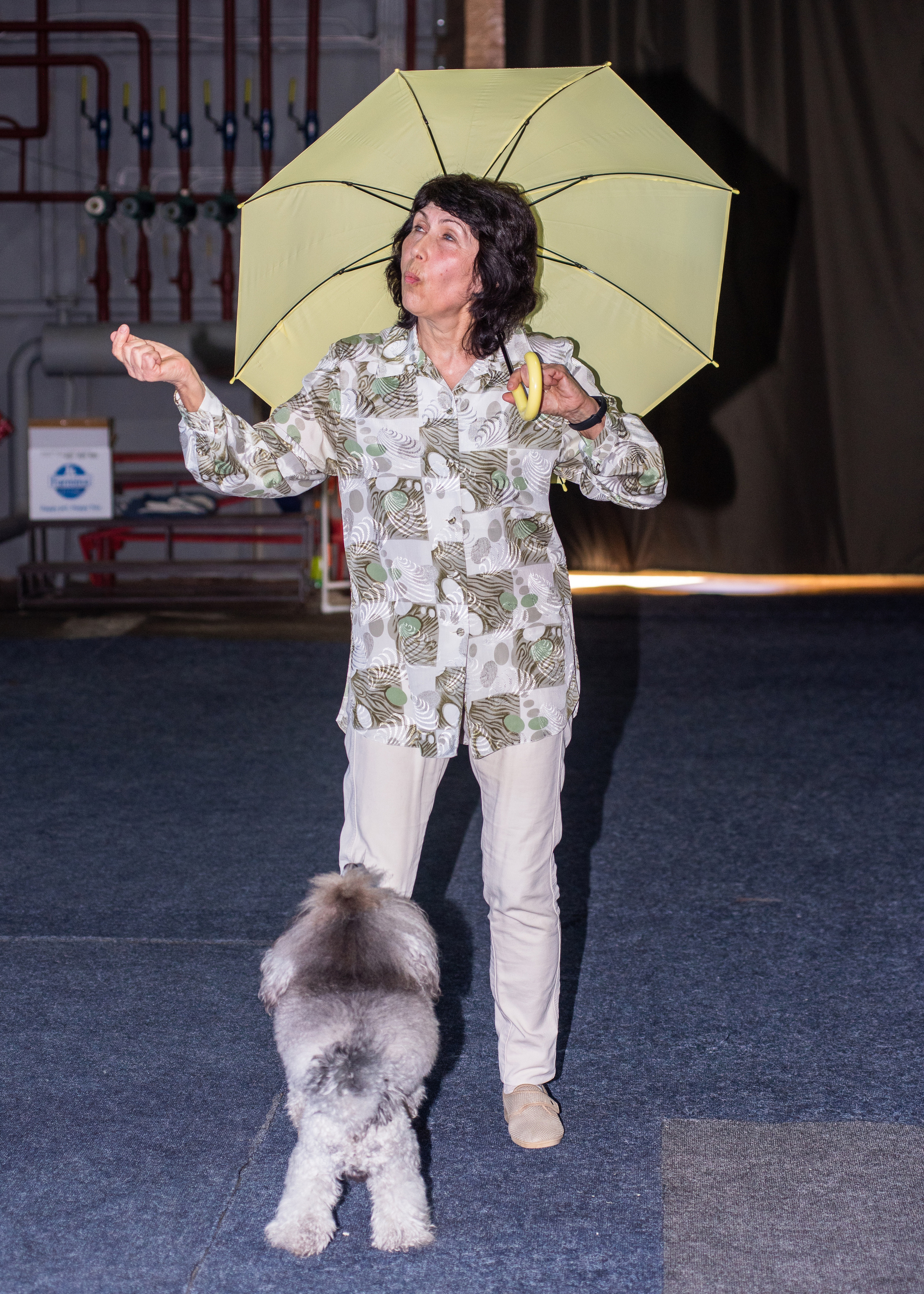 Танцы с собаками!. Дог-фотограф в Тюмени Александра Королева