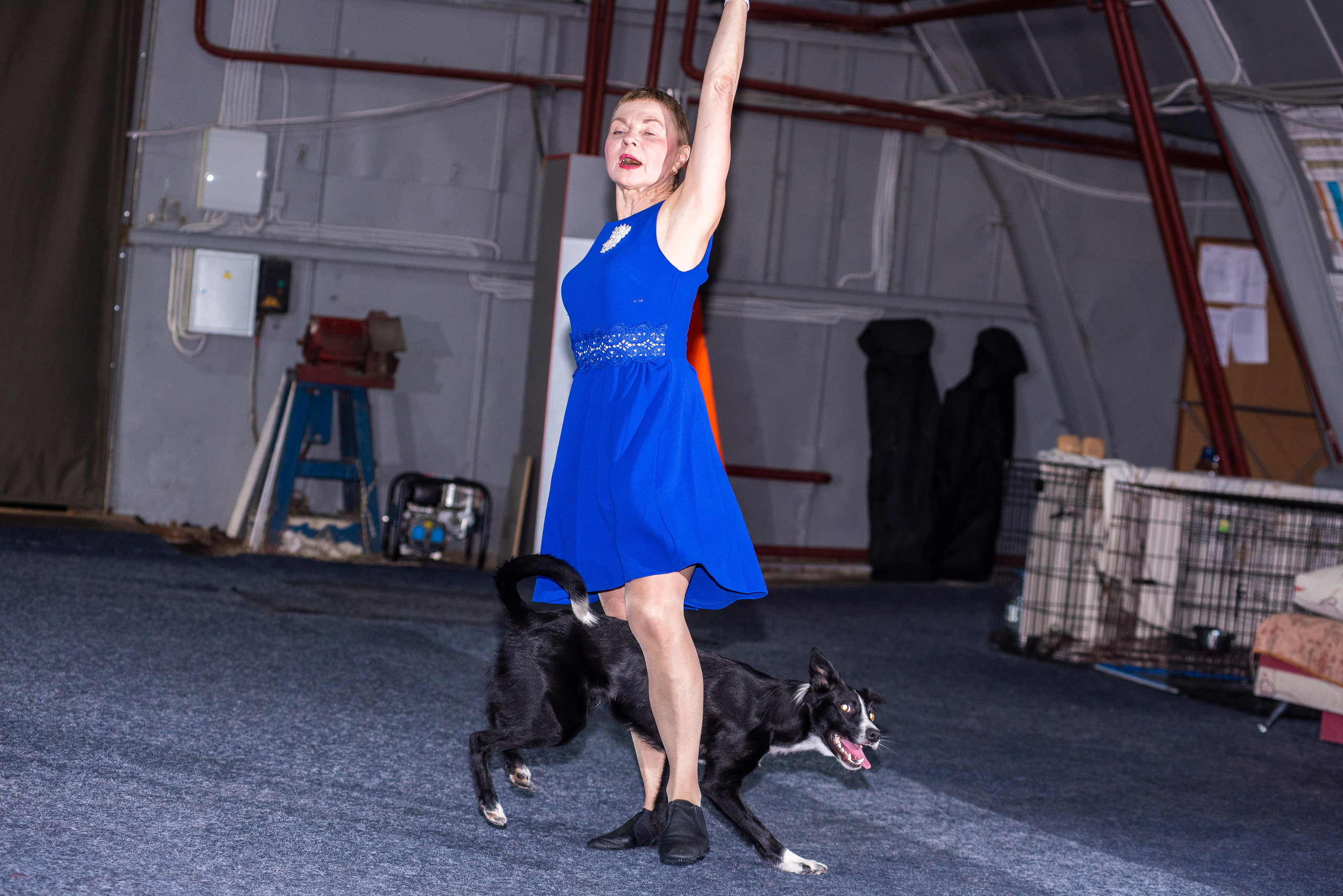 Танцы с собаками!. Дог-фотограф в Тюмени Александра Королева