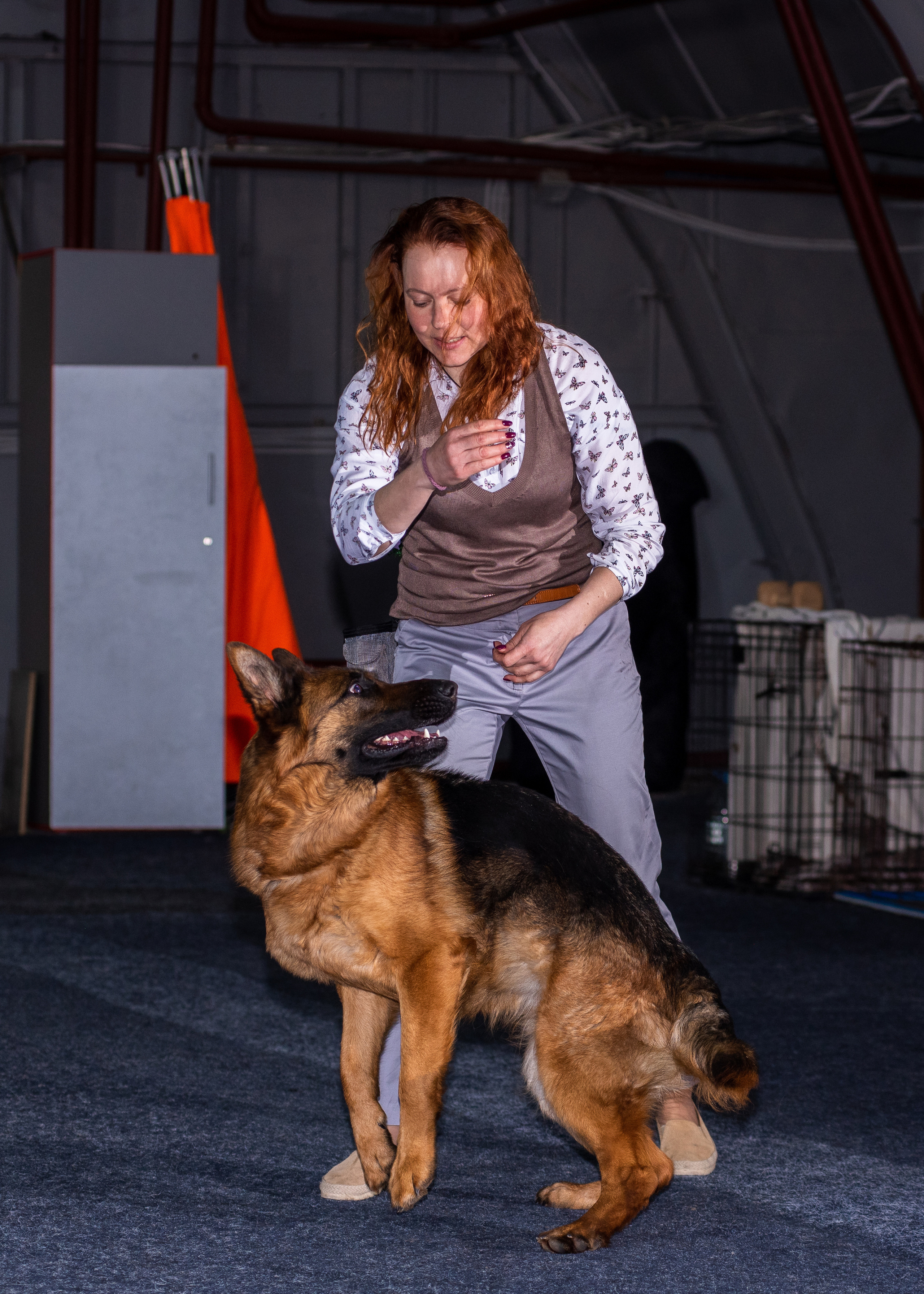 Танцы с собаками!. Дог-фотограф в Тюмени Александра Королева
