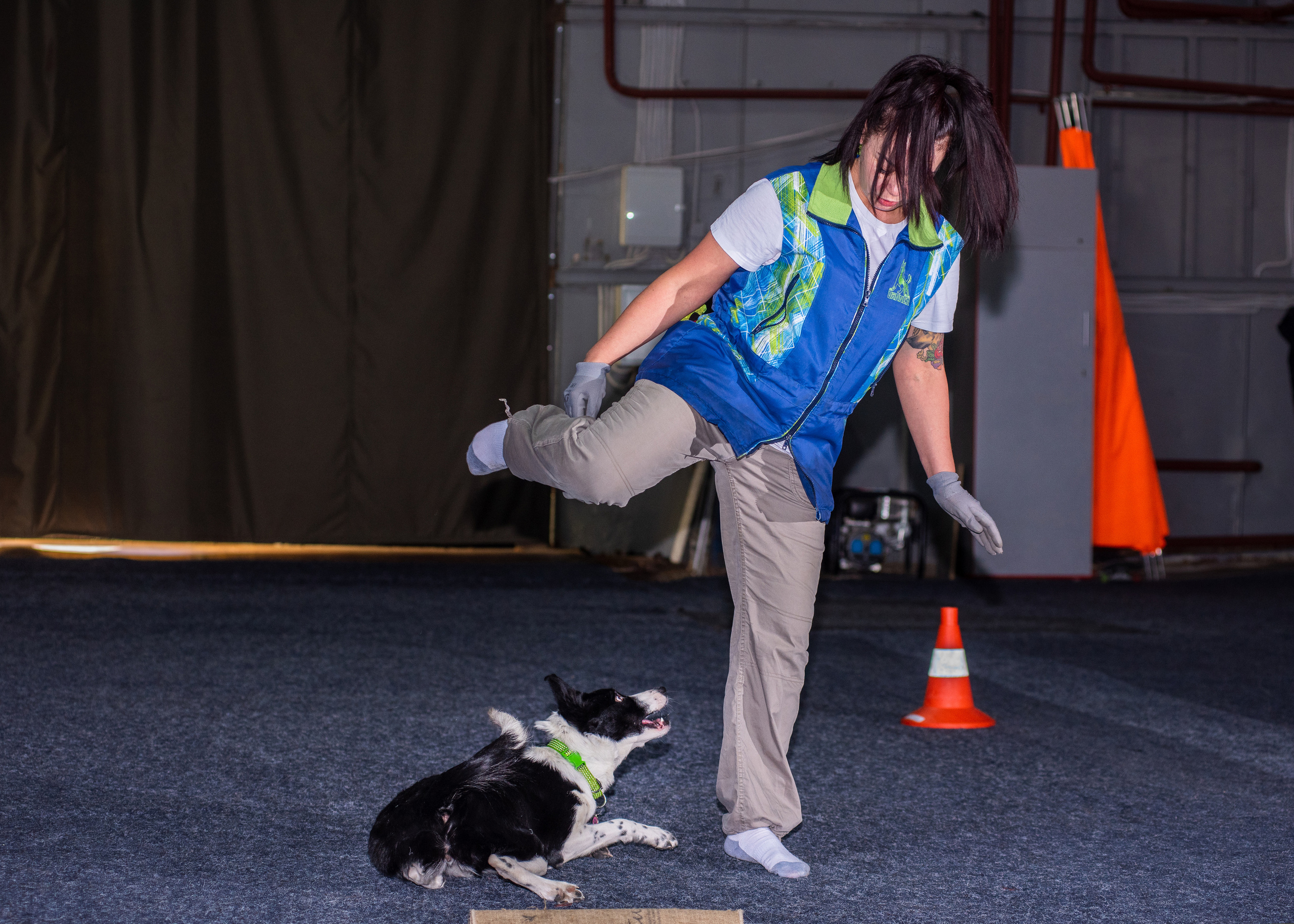 Танцы с собаками!. Дог-фотограф в Тюмени Александра Королева