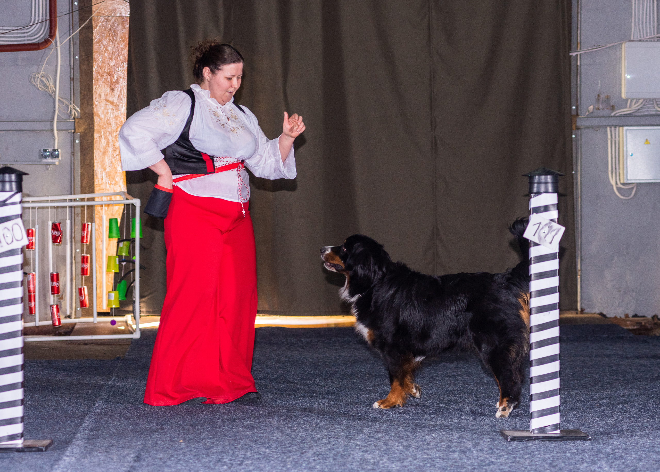 Танцы с собаками!. Дог-фотограф в Тюмени Александра Королева