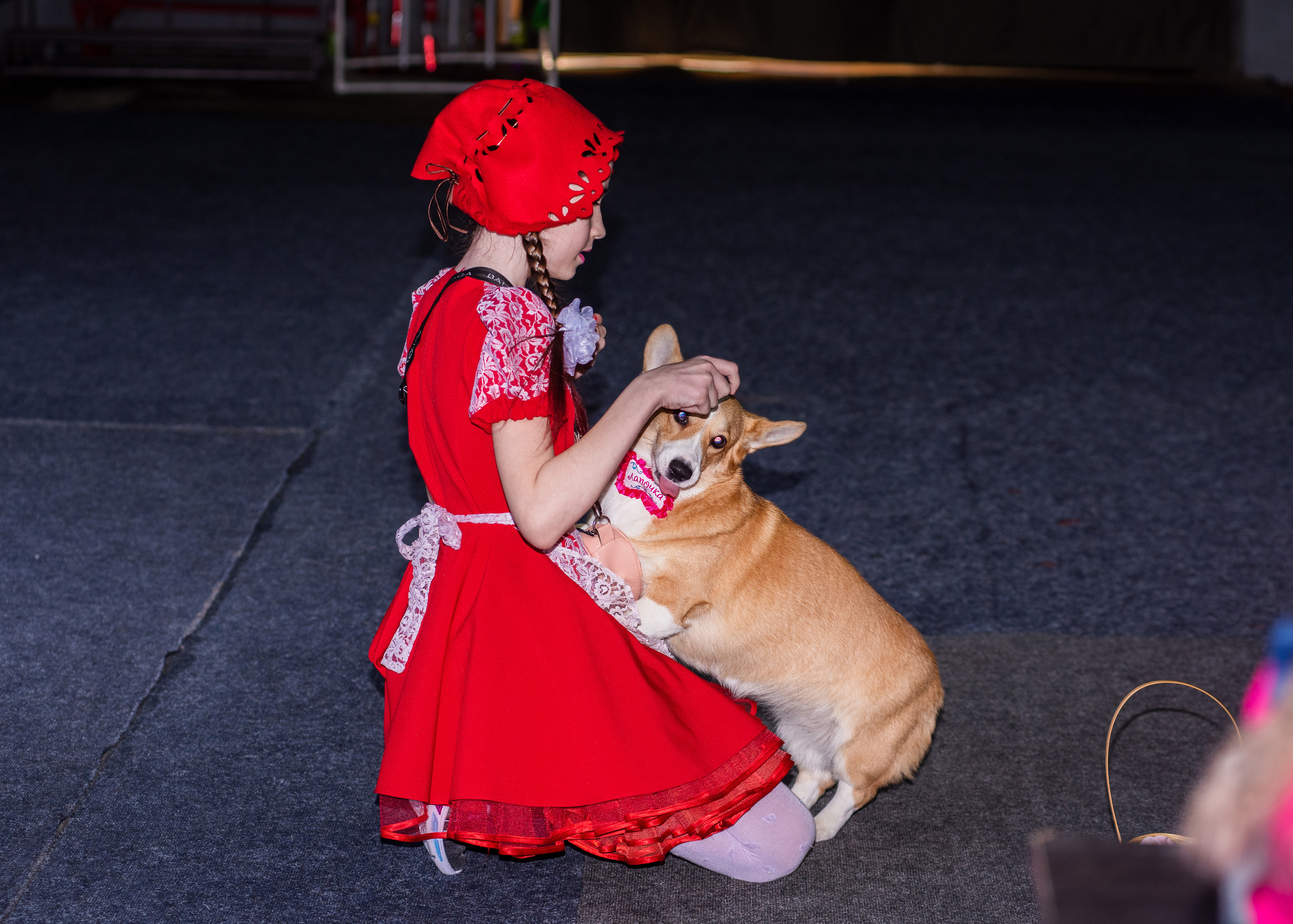 Танцы с собаками!. Дог-фотограф в Тюмени Александра Королева