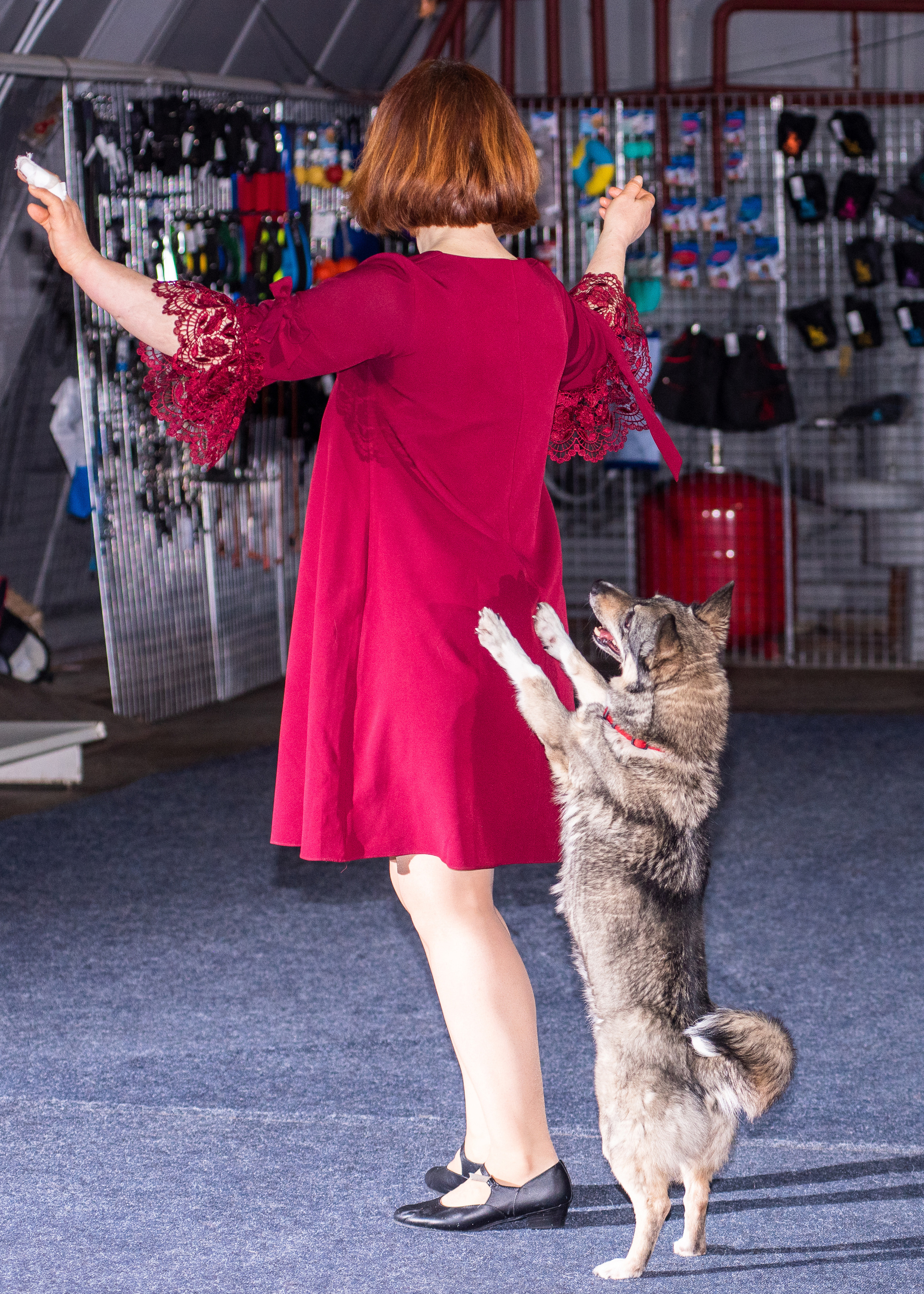 Танцы с собаками!. Дог-фотограф в Тюмени Александра Королева