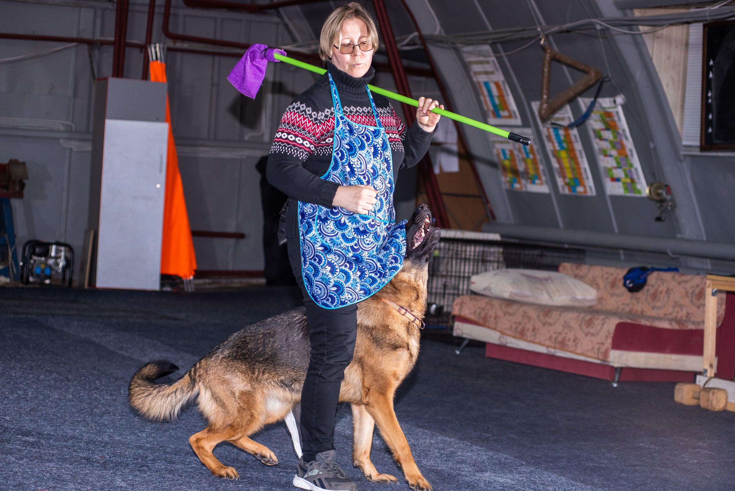 Танцы с собаками!. Дог-фотограф в Тюмени Александра Королева