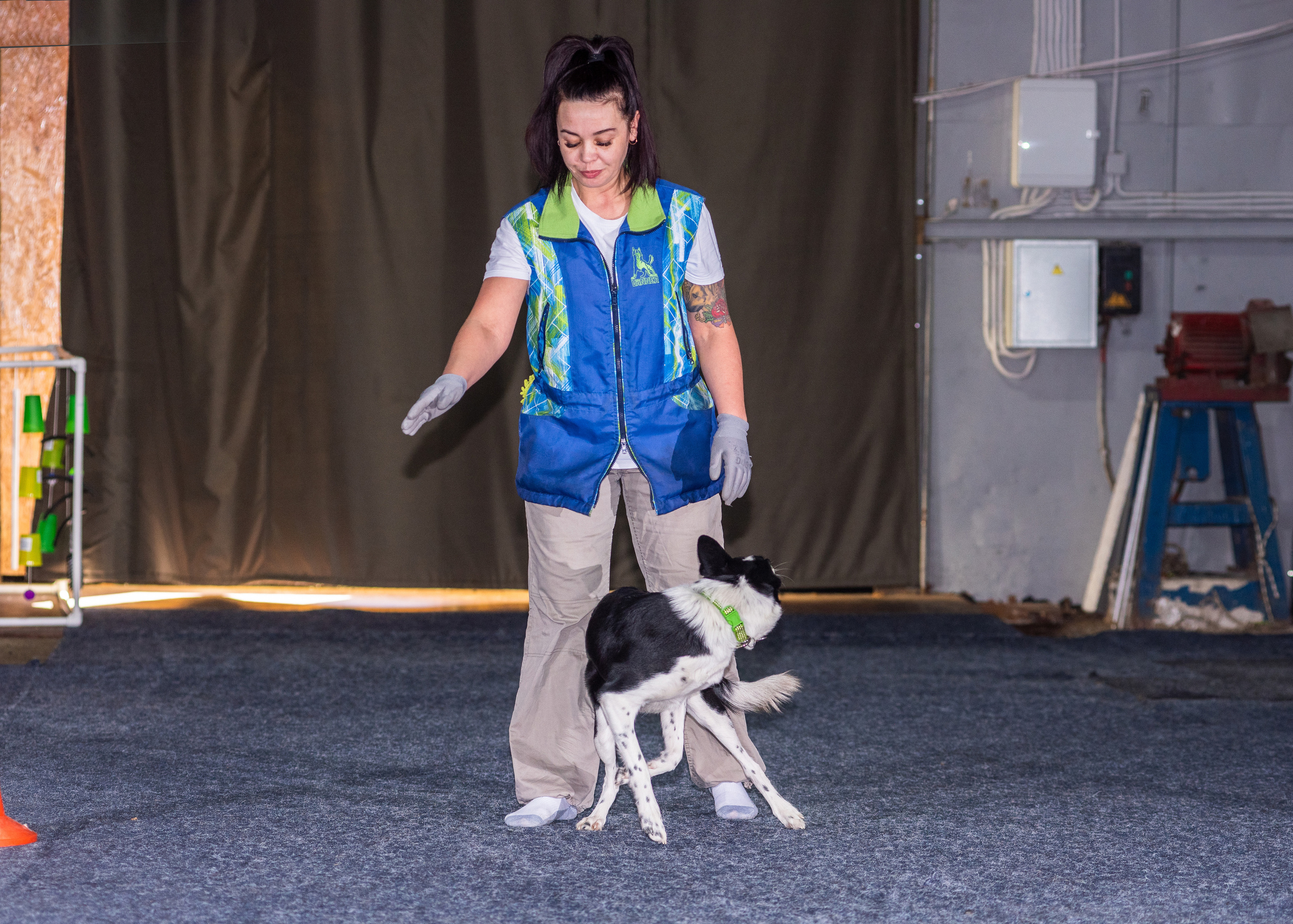 Танцы с собаками!. Дог-фотограф в Тюмени Александра Королева