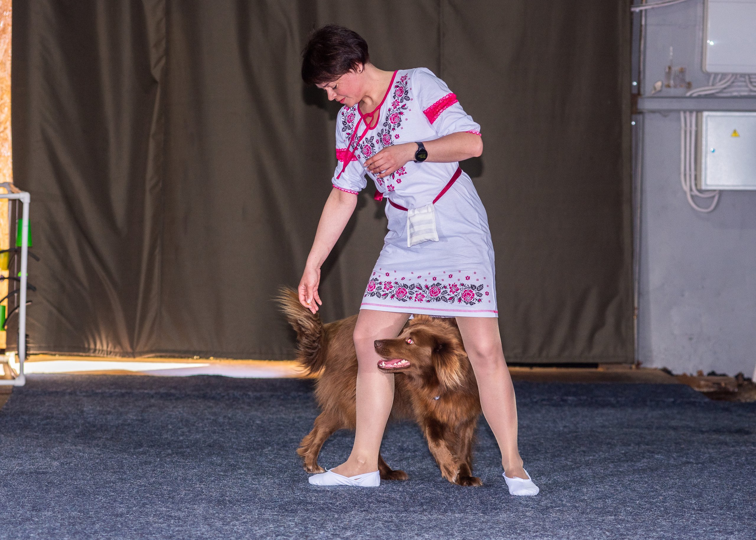 Танцы с собаками!. Дог-фотограф в Тюмени Александра Королева