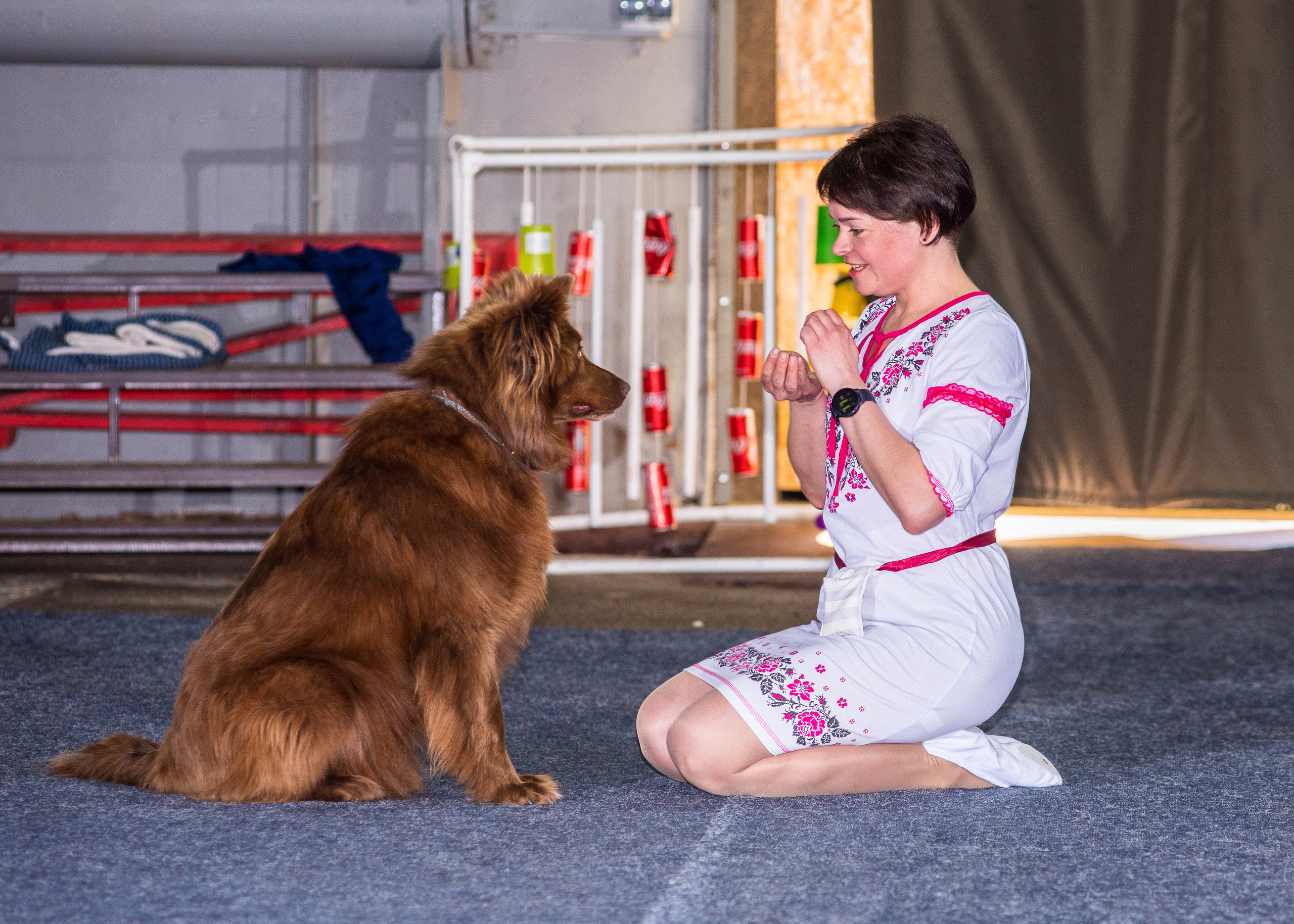 Танцы с собаками!. Дог-фотограф в Тюмени Александра Королева