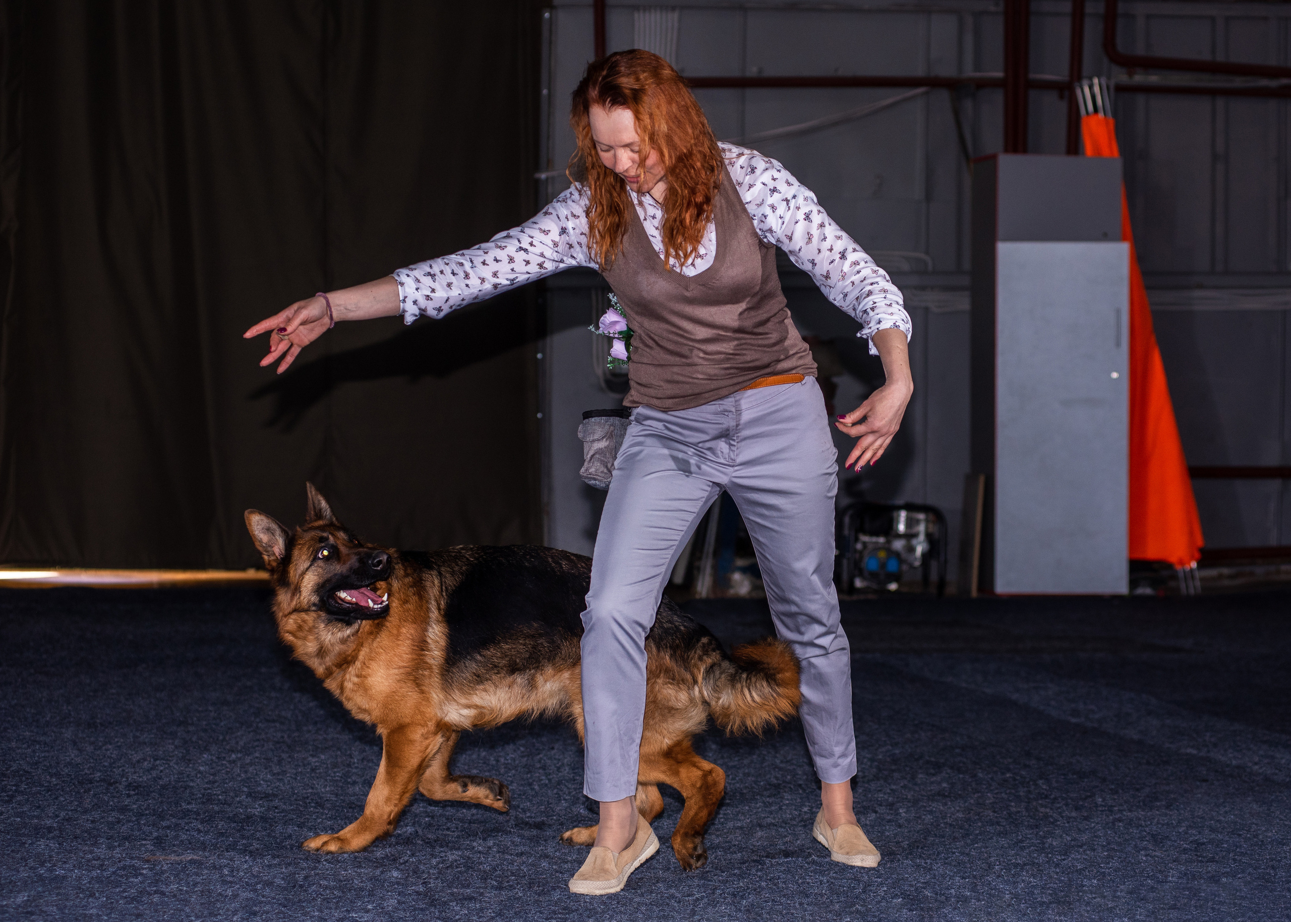 Танцы с собаками!. Дог-фотограф в Тюмени Александра Королева