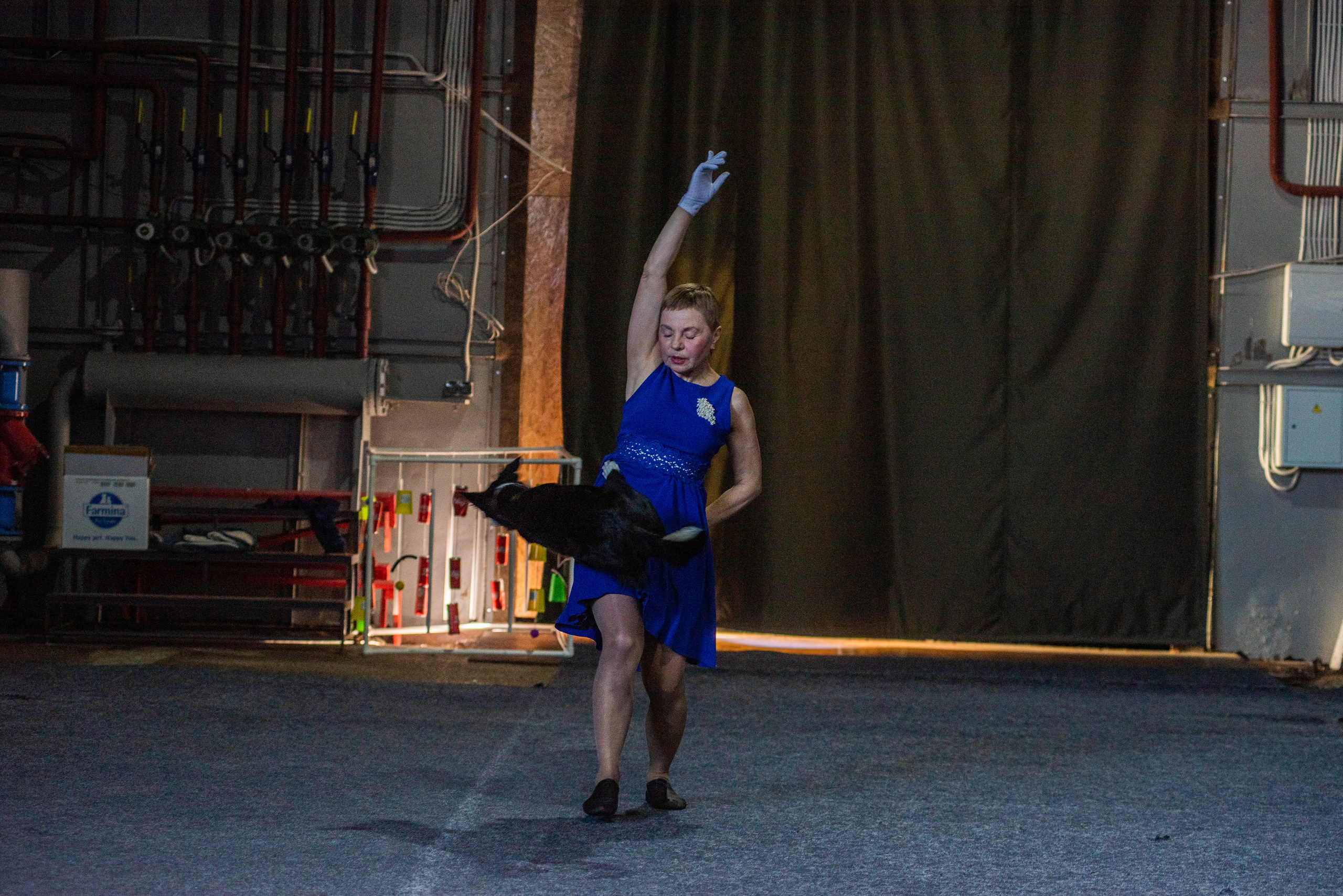 Танцы с собаками!. Дог-фотограф в Тюмени Александра Королева