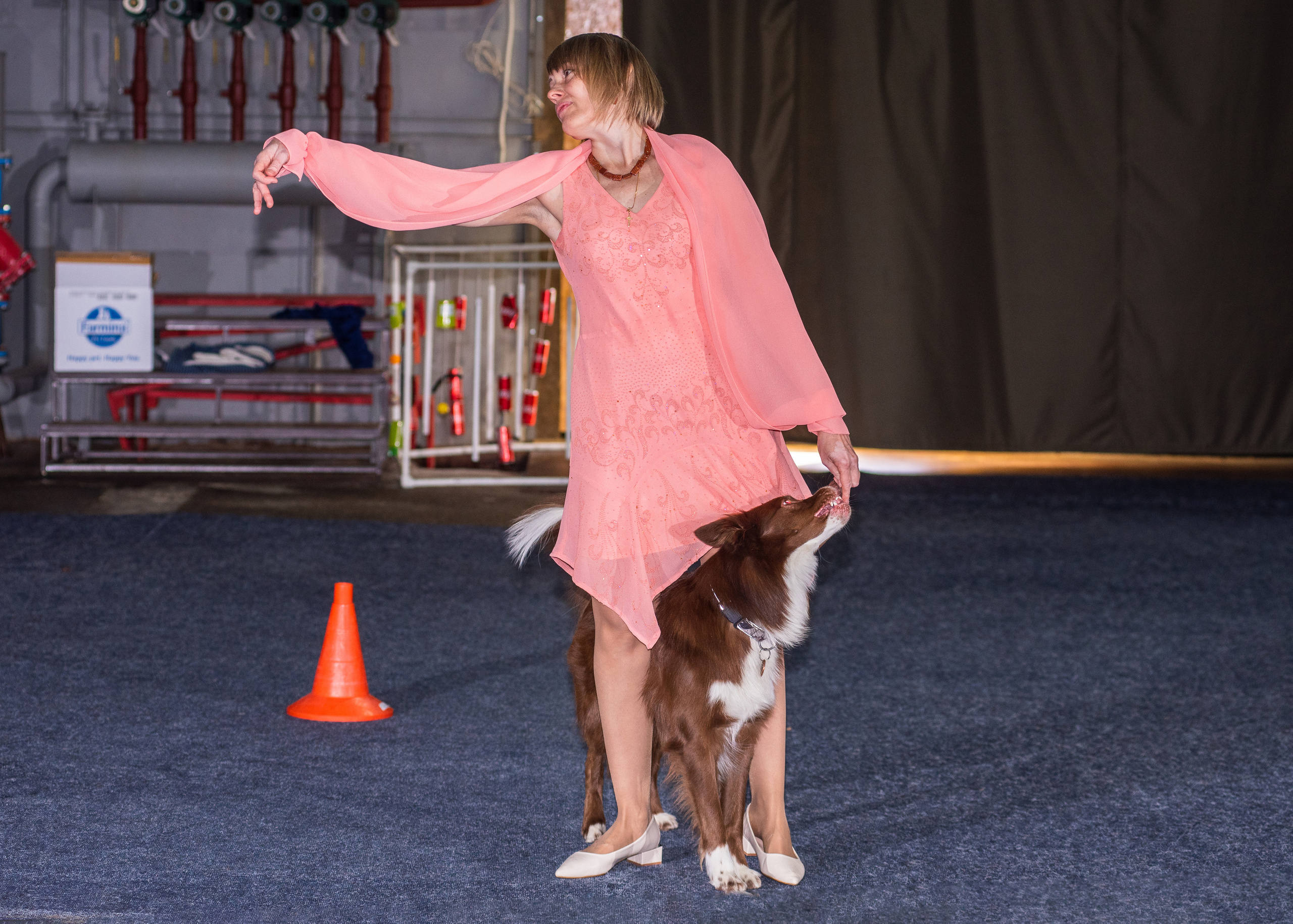 Танцы с собаками!. Дог-фотограф в Тюмени Александра Королева