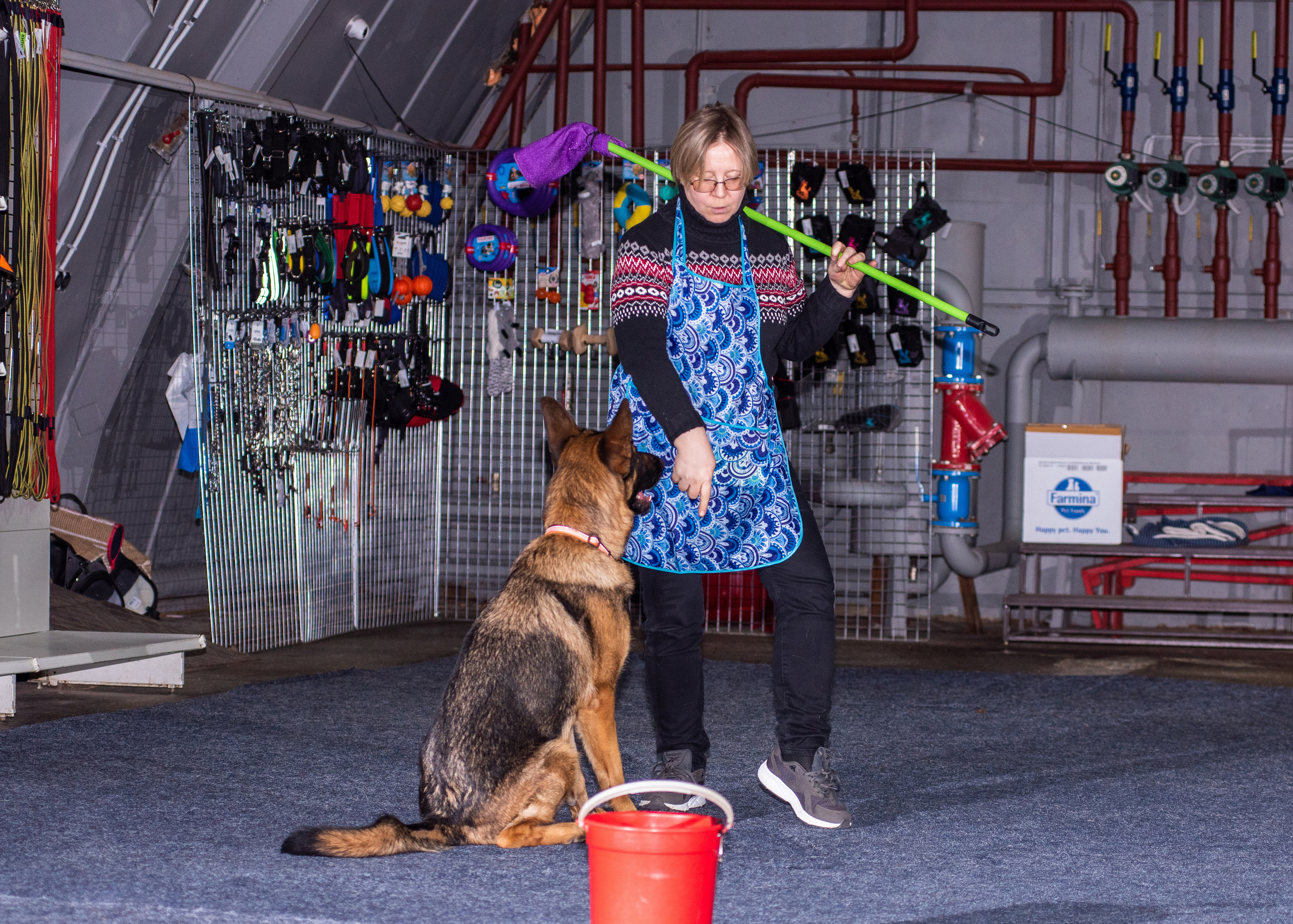 Танцы с собаками!. Дог-фотограф в Тюмени Александра Королева