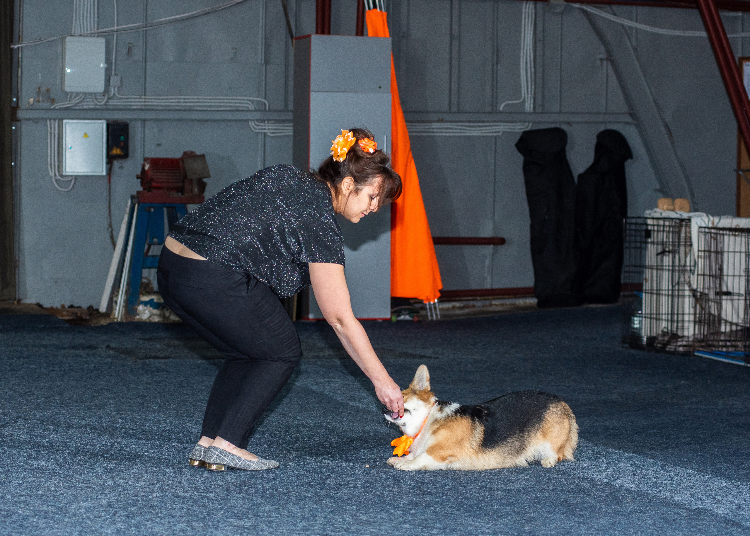 Танцы с собаками!. Дог-фотограф в Тюмени Александра Королева